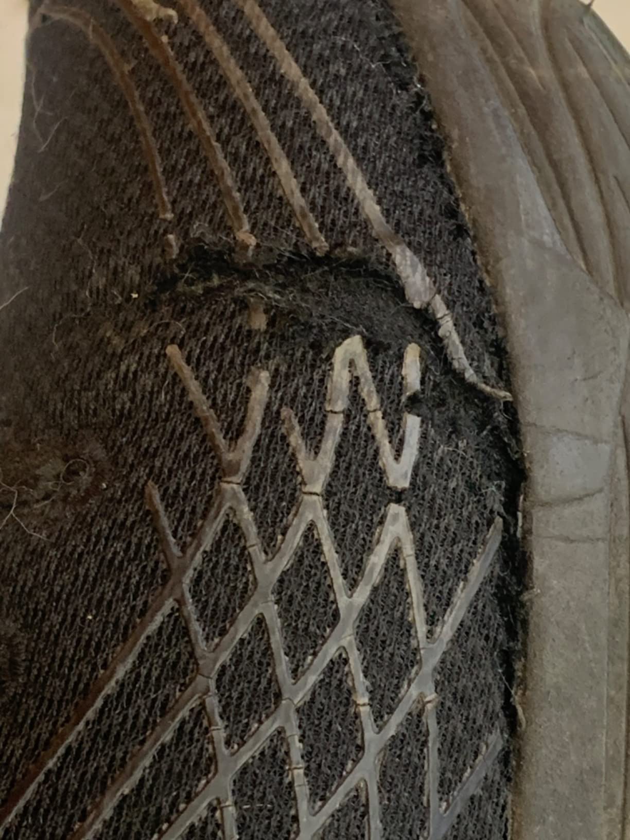 Skechers Women's Max Cushioning Elite SR Slip Resistant Walking Sneakers customer photo 1