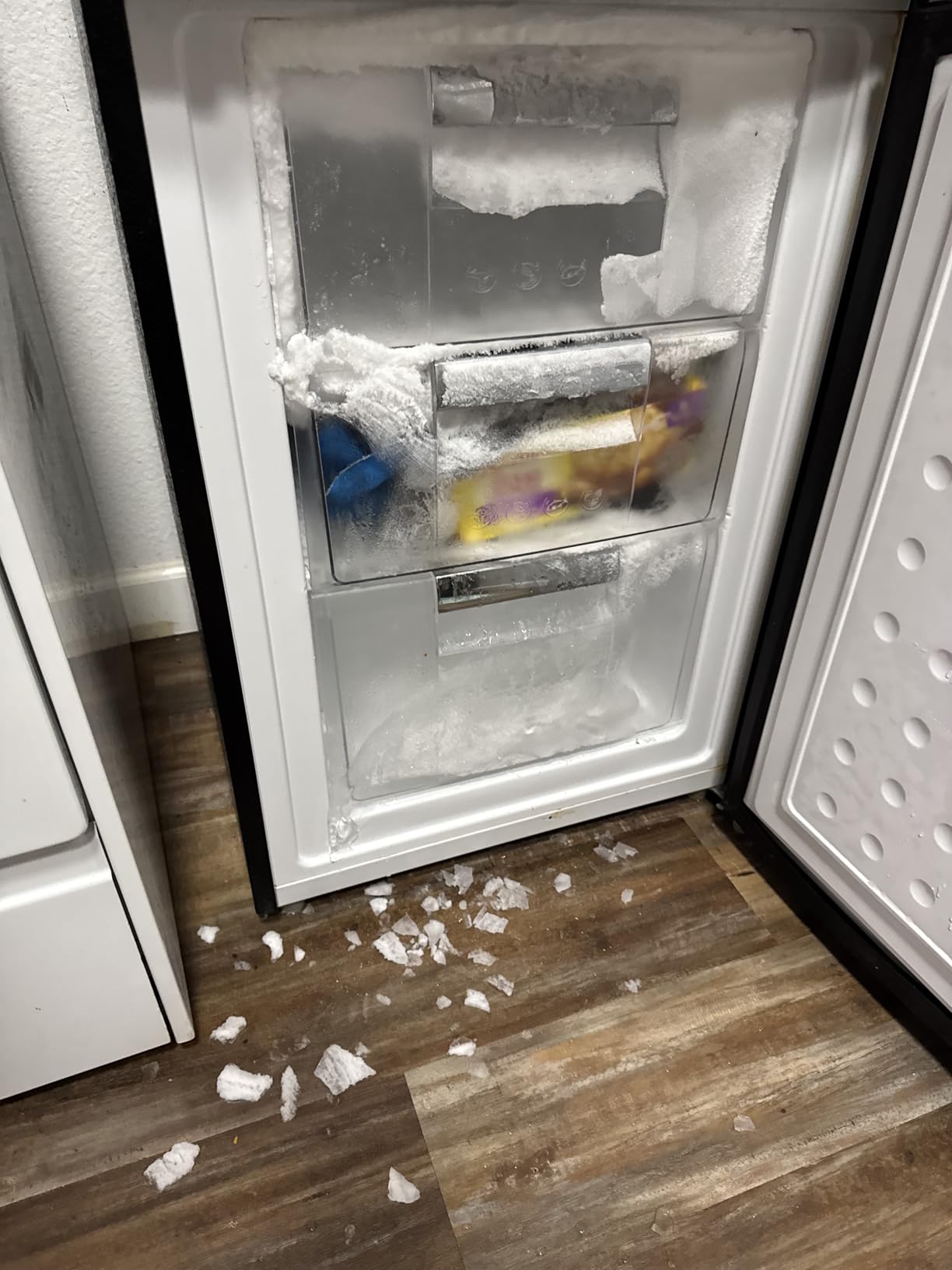 Hamilton Beach Cubic Foot Fridge with Bottom Mount Freezer, 9.2 cu. ft, Stainless customer photo 1
