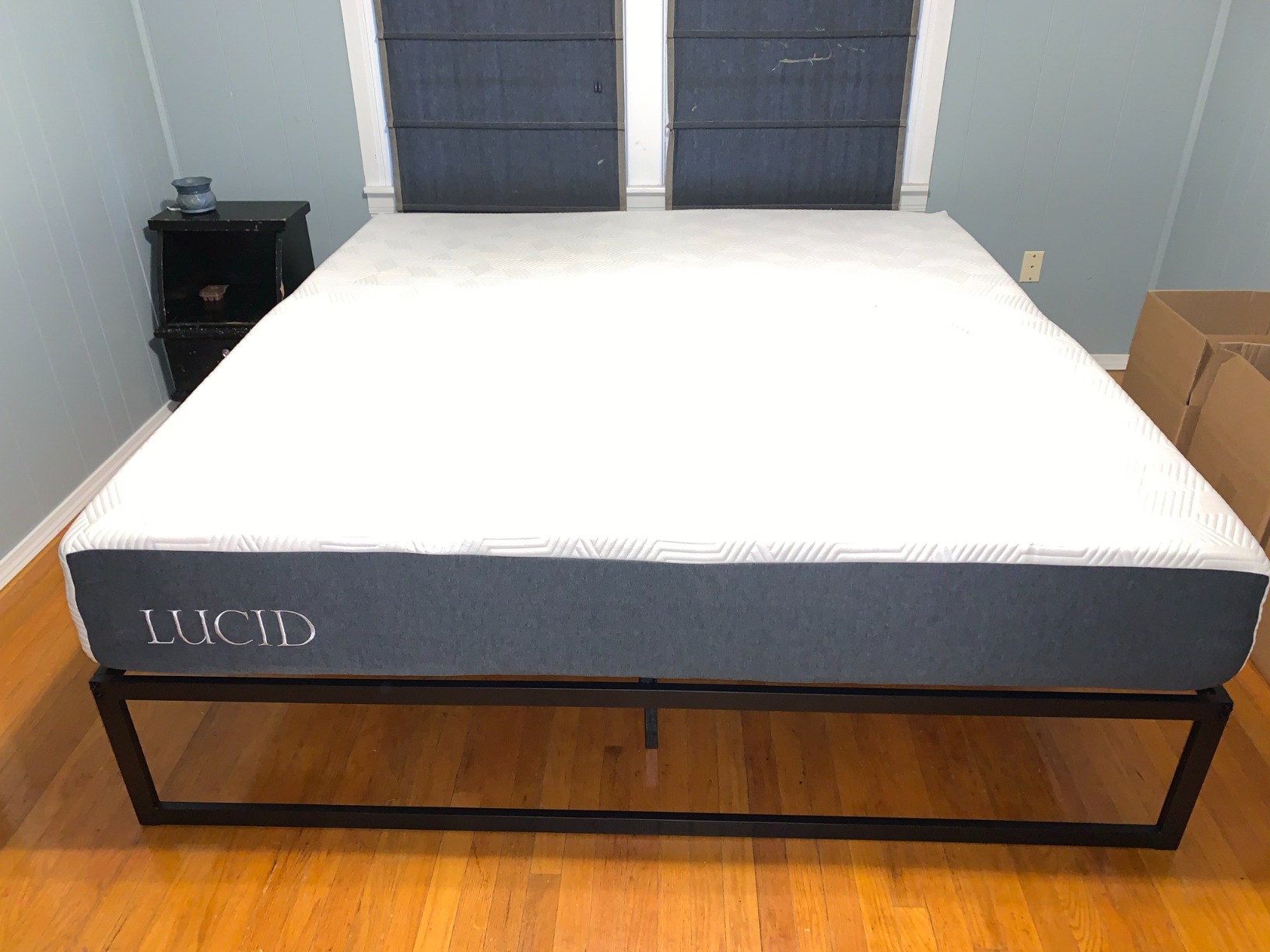 Lucid® 12