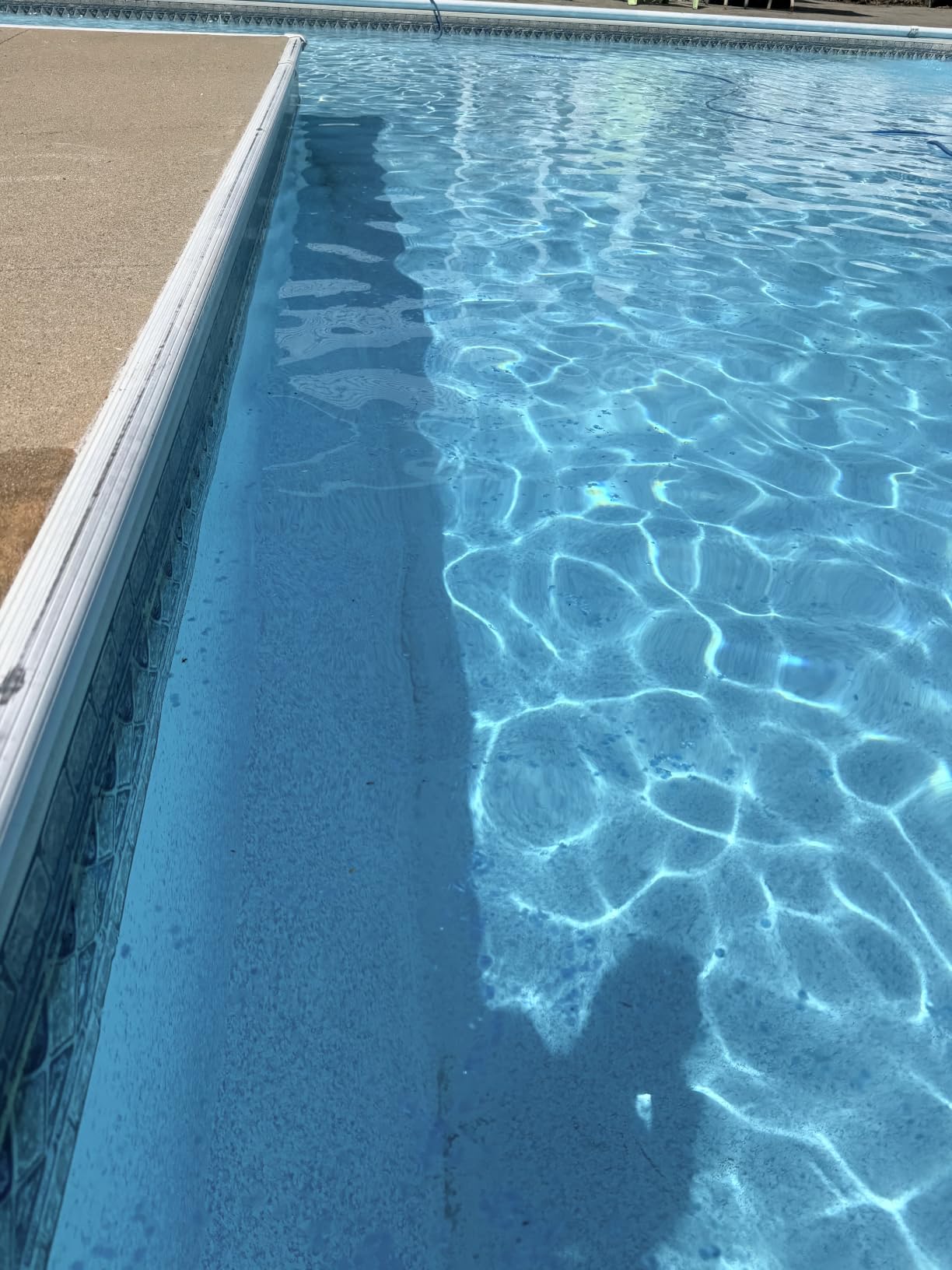 Doheny's Clear-Tek Micro Bubble Solar Pool Cover for In-Ground Swimming Pools | Increase Solar Energy Absorption, Retain Heat, Reduce Evaporation, Reduce Heat Loss & Save, 18x36 ft Blue 1600 customer photo 1