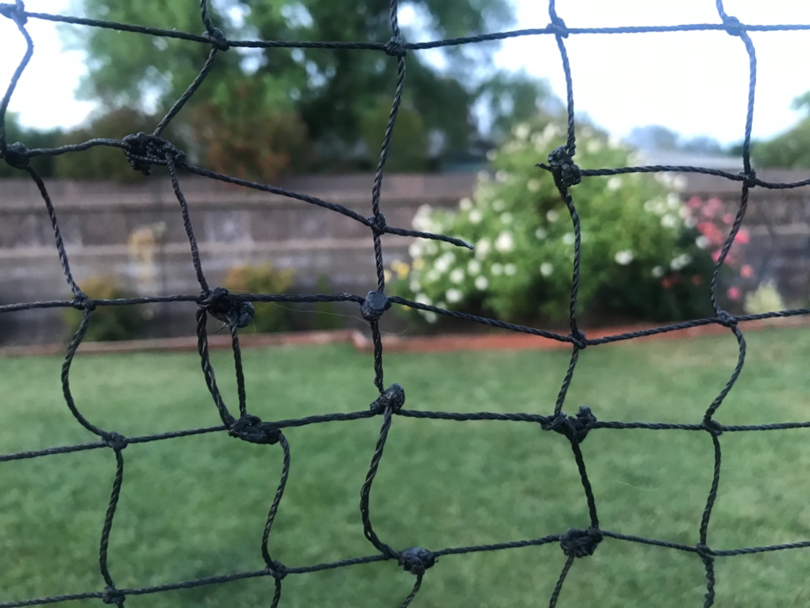 Professional Badminton Set with Net, Carbon Fiber Rackets Set of 4 | Anti-Sag Crank Tension System, Portable Set with 4 Rackets, 4 Shuttlecocks, Boundary Lines, Carry Bag for Backyard Games customer photo 1