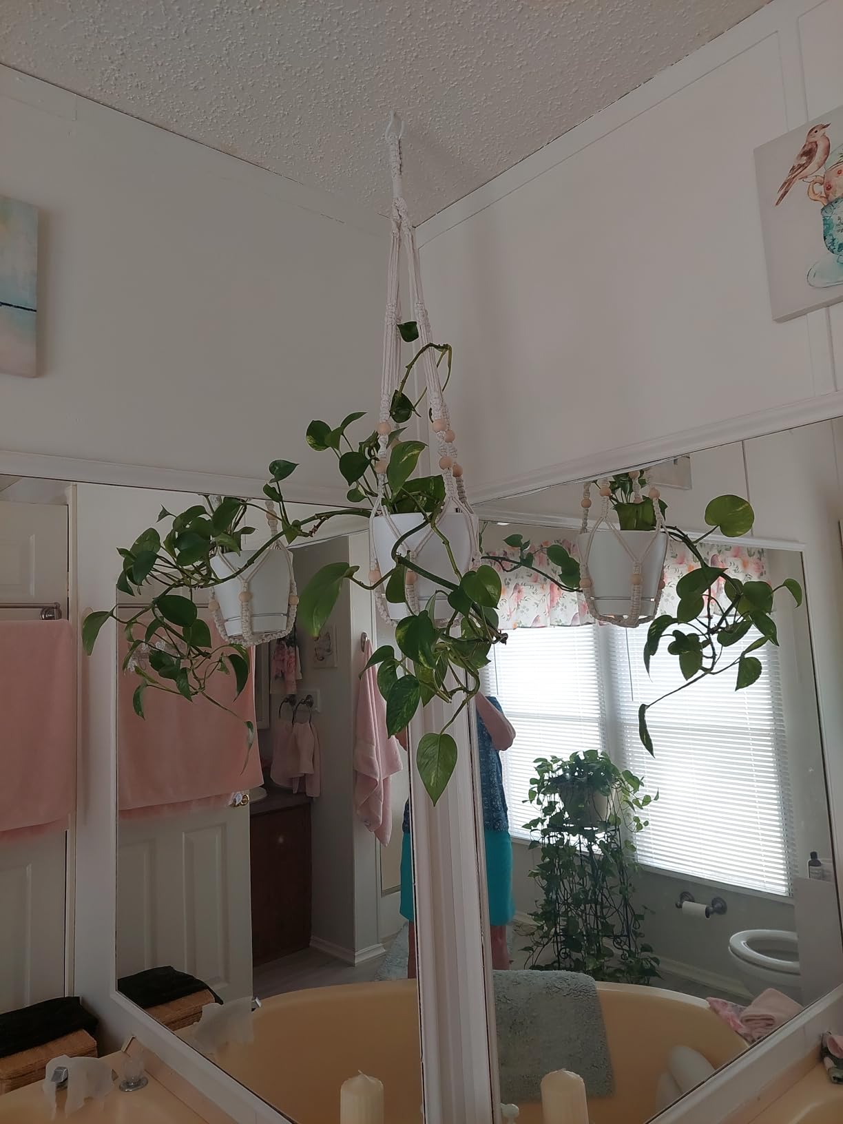 Mkono 3 Pack Macrame Plant Hangers Hanging Planters for Indoor Plants Brown customer photo 1
