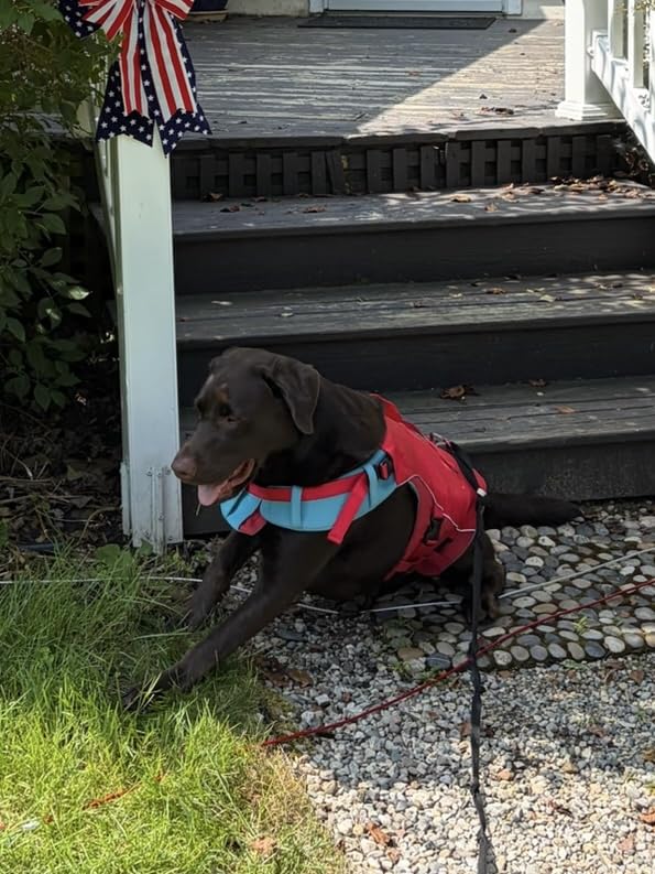 Kurgo Surf n' Turf Life Jacket, Chili Red, Extra Large | Life Vest for Active Water Dogs, 2 Control Handles, 3 Adjustment Points, Reflective Trim, Leash Attachment, Machine Washable customer photo 1