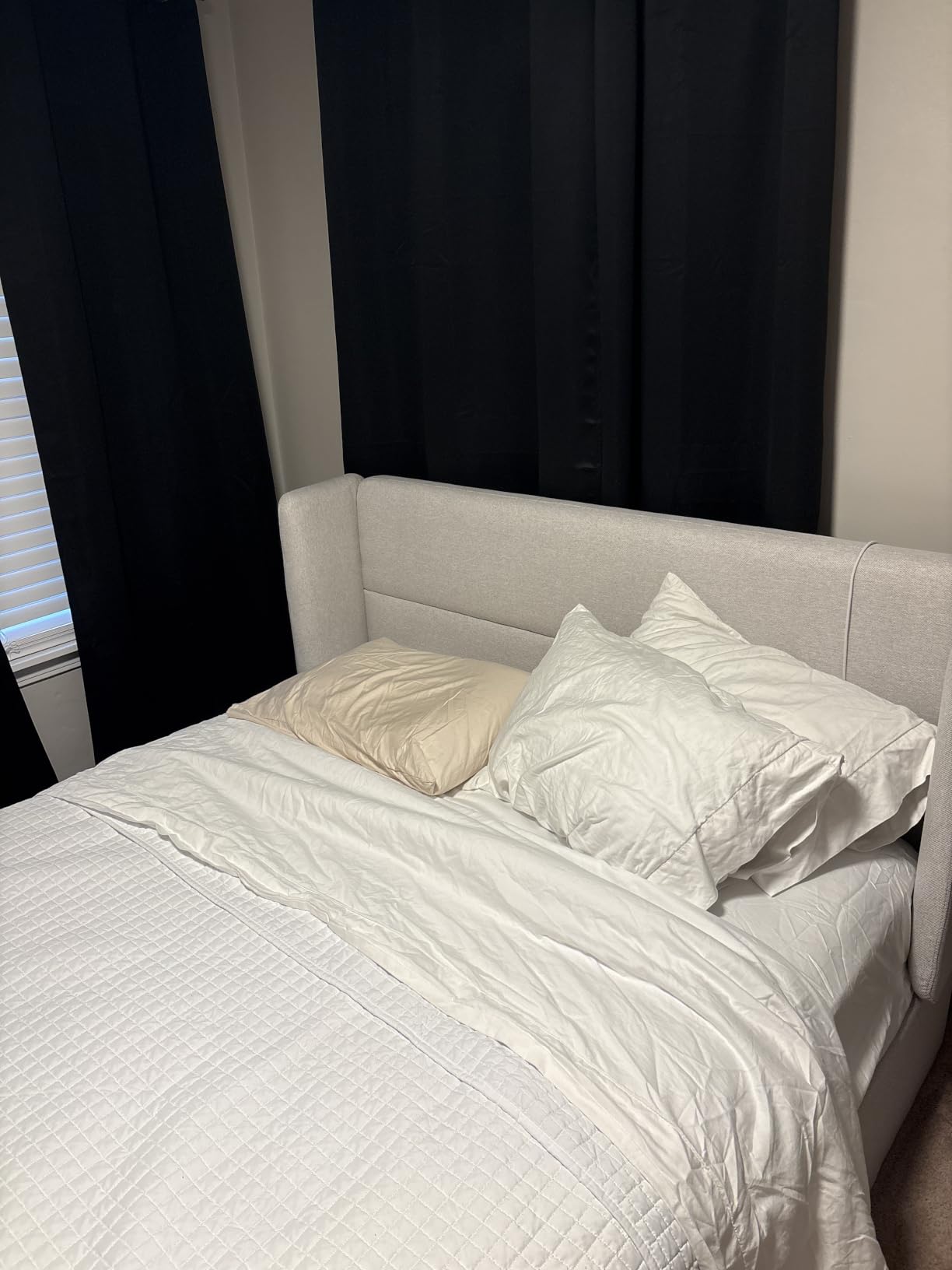Organic Buckwheat Pillow for Sleeping with Organic Cotton Pillowcase customer photo 2