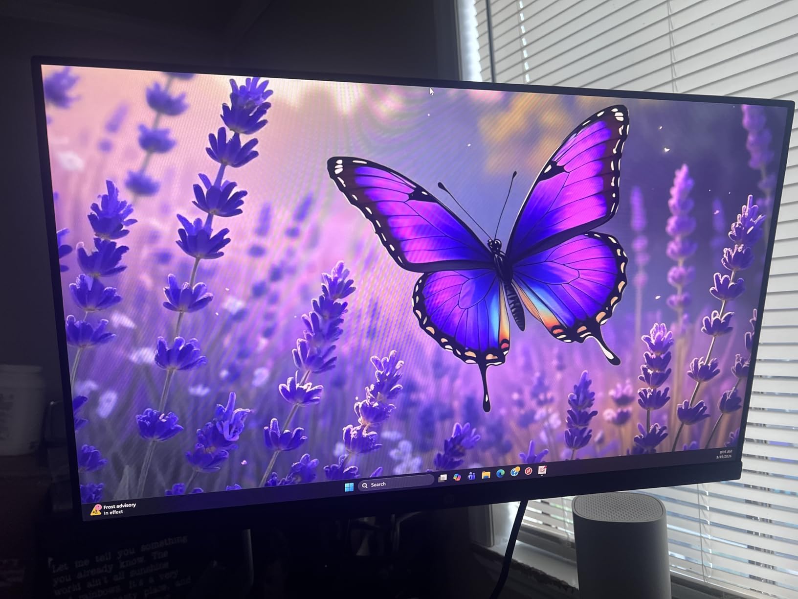 HP 24mh FHD Monitor - Computer Monitor with 23.8-Inch IPS Display (1080p) - Built-in Speakers and VESA Mounting - Height/Tilt Adjustment for Ergonomic Viewing - HDMI and DisplayPort - (1D0J9AA#ABA) customer photo 1