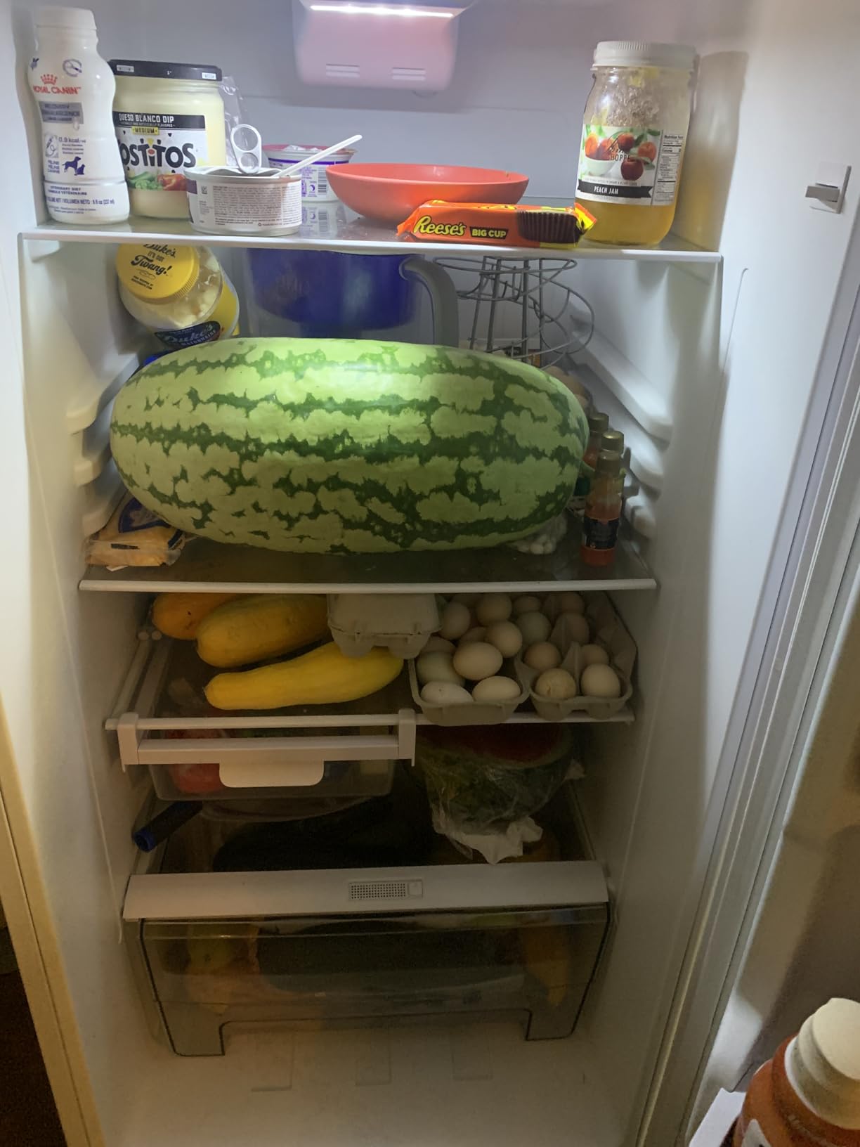 Galanz GLR12TRDEFR Refrigerator, Dual Door Fridge, Adjustable Electrical Thermostat Control with Top Mount Freezer Compartment, Retro White, 12.0 Cu Ft customer photo 1
