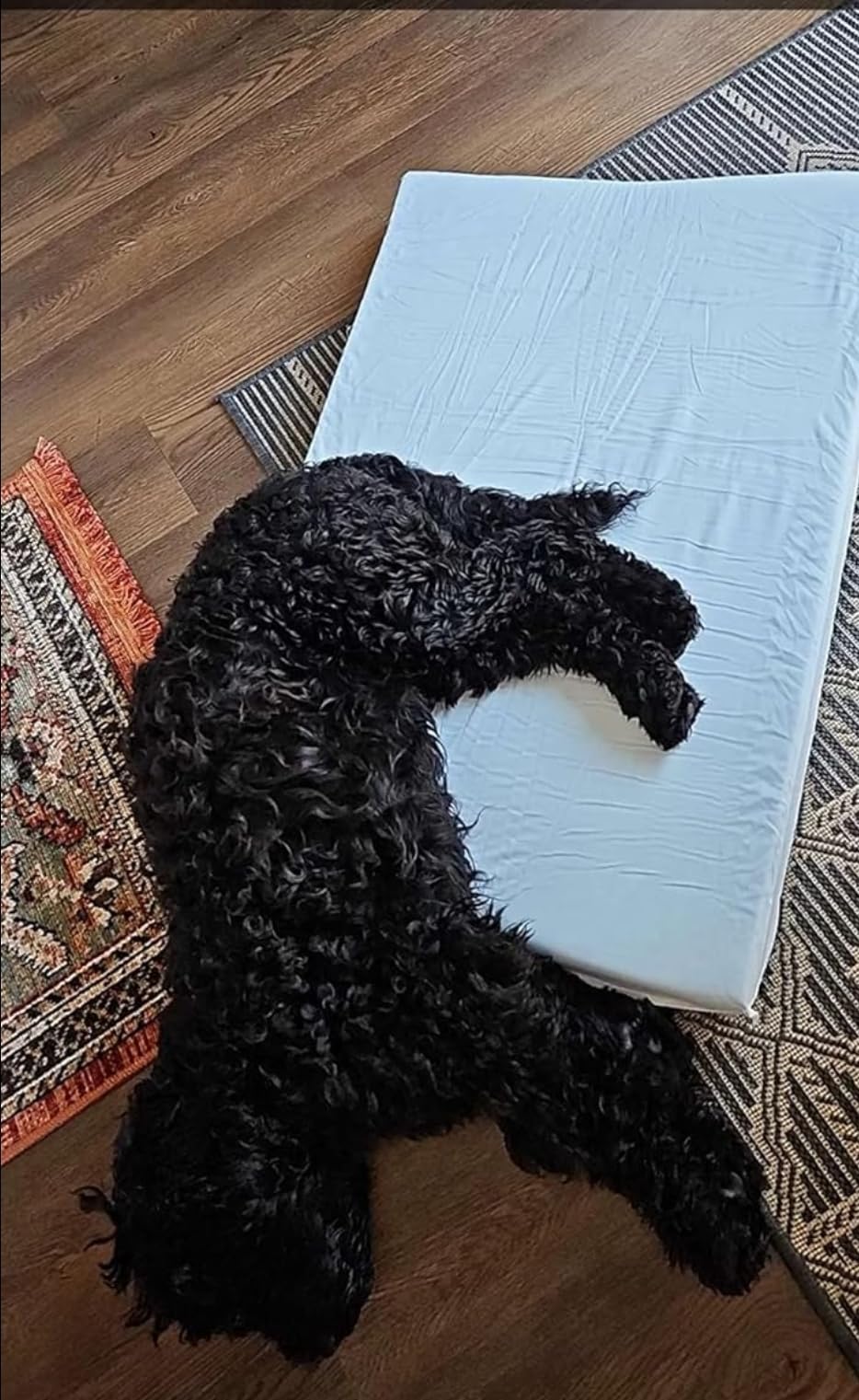 Orthopedic Memory Foam Bed for Large Dogs, Waterproof Cooling Pet Mats for Crate with Removable Washable Cover,Ideal for Arthritic Dogs, L(35inch,65Lbs) customer photo 1