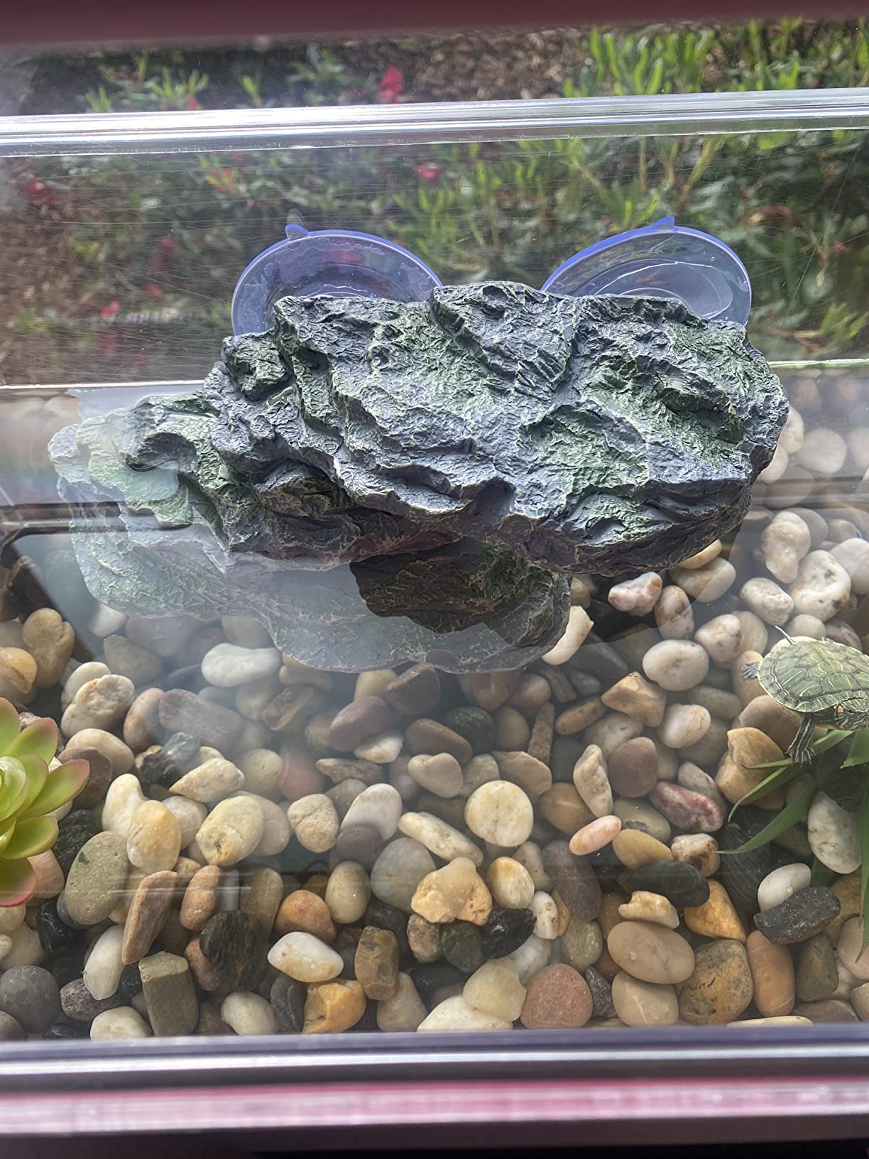 PINVNBY Basking Platform for Turtles Tortoise Dock Resin Resting Rock Reptile Habitat Climbing Ornament Floating Ledge Aquarium Decoration with 2 Pcs Suction Cups for Frogs, Newts,Lizard(3 Pcs) customer photo 1