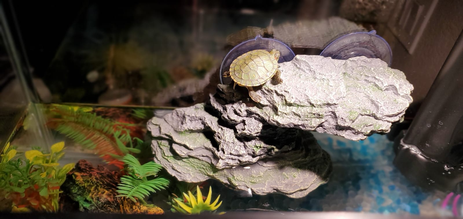 PINVNBY Basking Platform for Turtles Tortoise Dock Resin Resting Rock Reptile Habitat Climbing Ornament Floating Ledge Aquarium Decoration with 2 Pcs Suction Cups for Frogs, Newts,Lizard(3 Pcs) customer photo 2