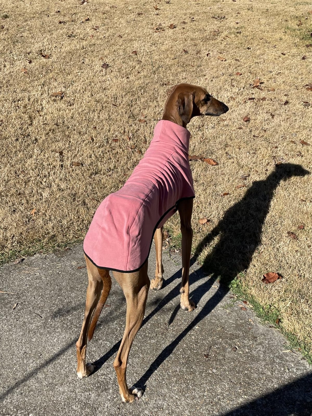 Esobo Fleece Dog Apparel Winter Warm Dog Coat Doggie Turtleneck Cozy Jacket Soft Shirt Vest Stylish Pet Outfits for Small Medium Large Dogs customer photo 1