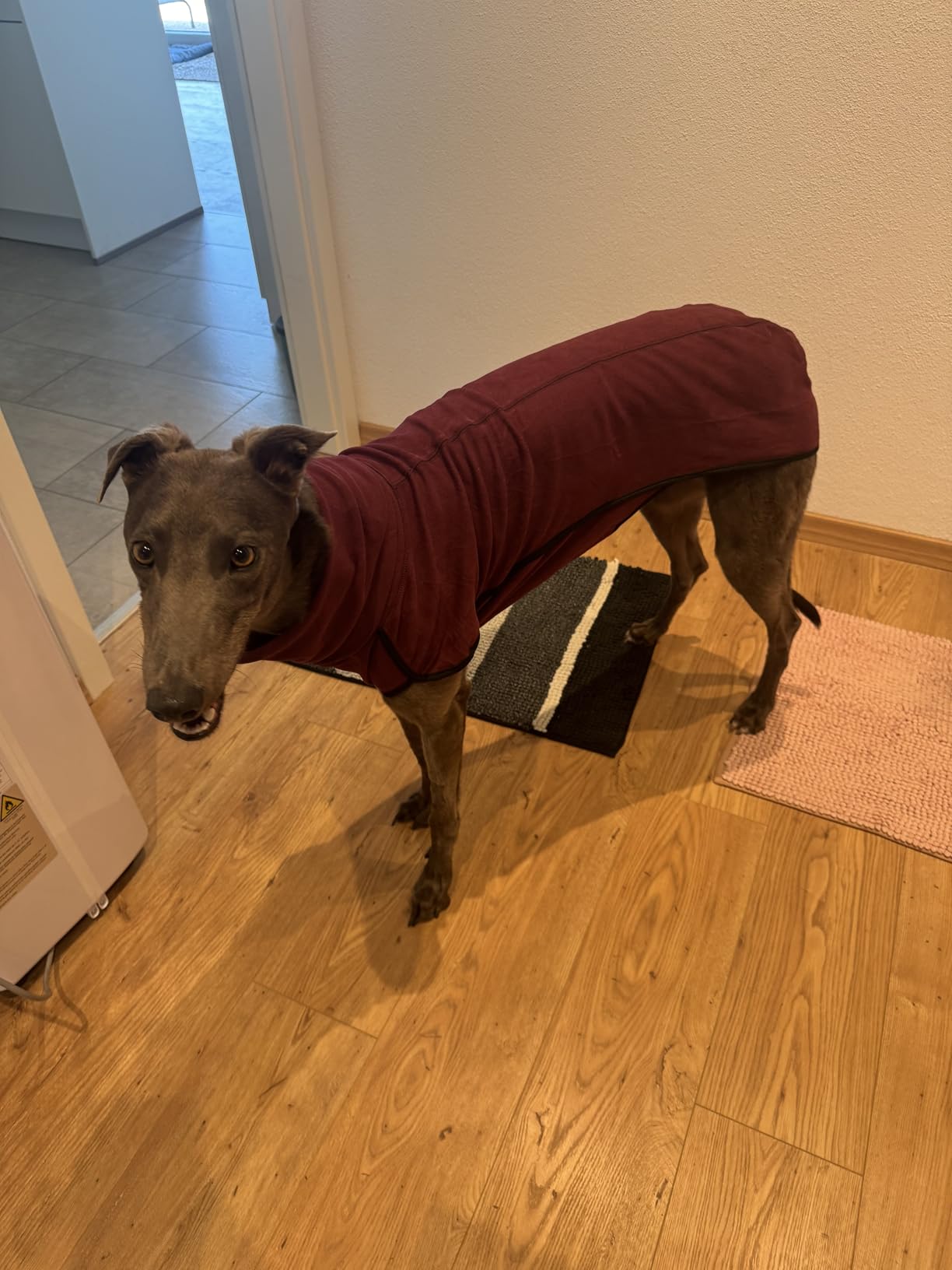 Esobo Fleece Dog Apparel Winter Warm Dog Coat Doggie Turtleneck Cozy Jacket Soft Shirt Vest Stylish Pet Outfits for Small Medium Large Dogs customer photo 2