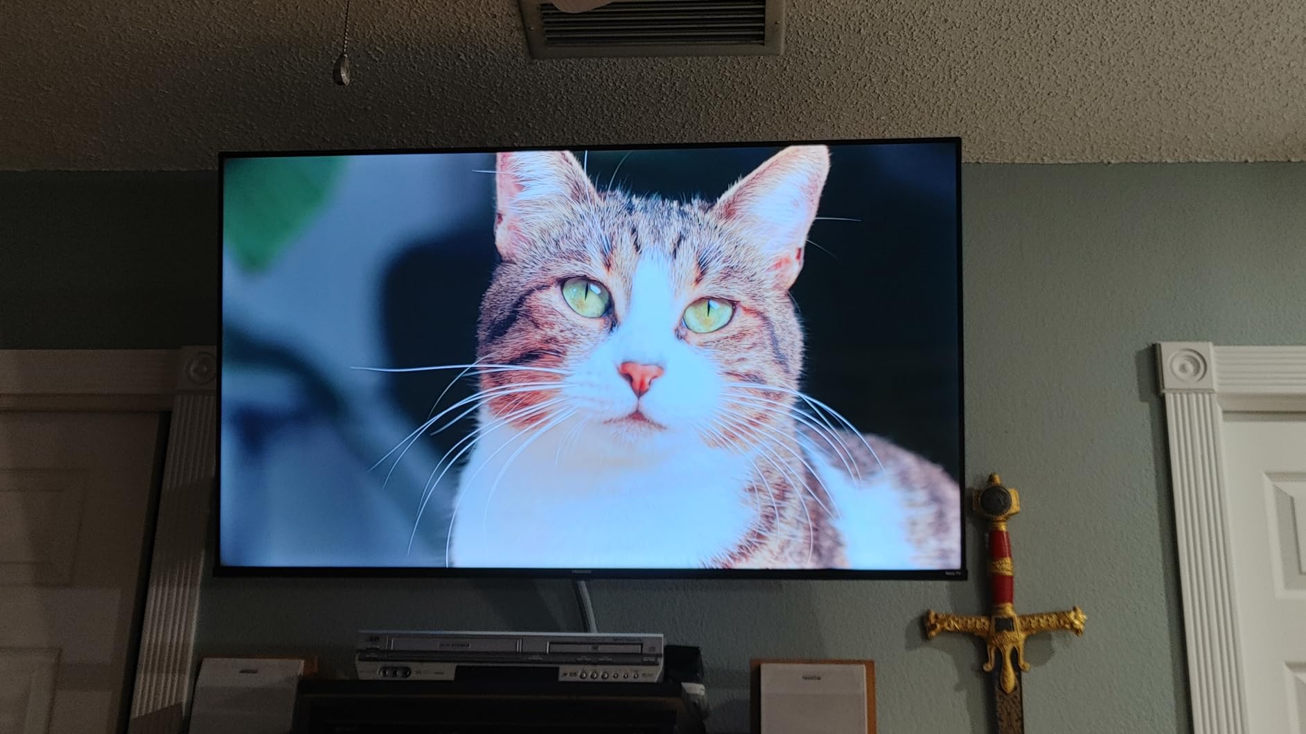 Hisense 65-Inch Class R6 Series 4K UHD Smart Roku TV with Alexa Compatibility (65R6G) customer photo 2