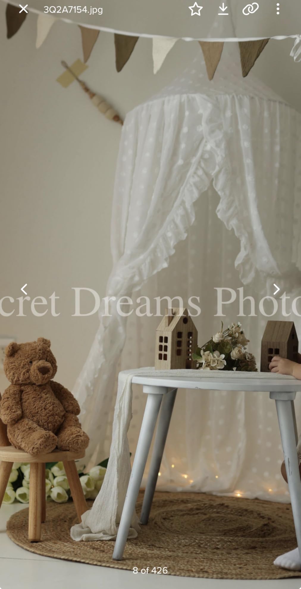 Wonder Space Elegant Kids Bed Canopy - Lace Chiffon Netting with Pom Pom, Princess Girls Fairy Dream Tent, Nursery Room Baby Crib Hanging Curtain Mosquito Net Children Reading Nook Decoration (Beige) customer photo 1