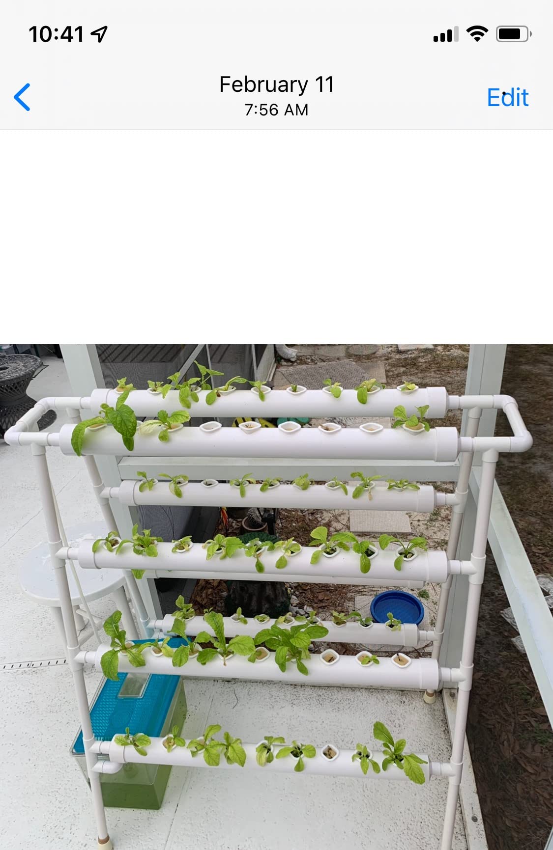 Hydroponics Growing System Kit 36 Plant Sites Food-Grade PVC-U Pipes Hydroponic Grow Kit Gardening System for Vegetables,Fruits,Herb customer photo 2
