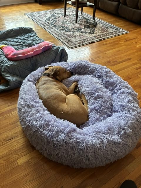 Best Friends by Sheri The Original Calming Donut Dog Bed for Extra-Large Dogs up to 150 lbs, Shag Faux Fur, Dark Brown, 45