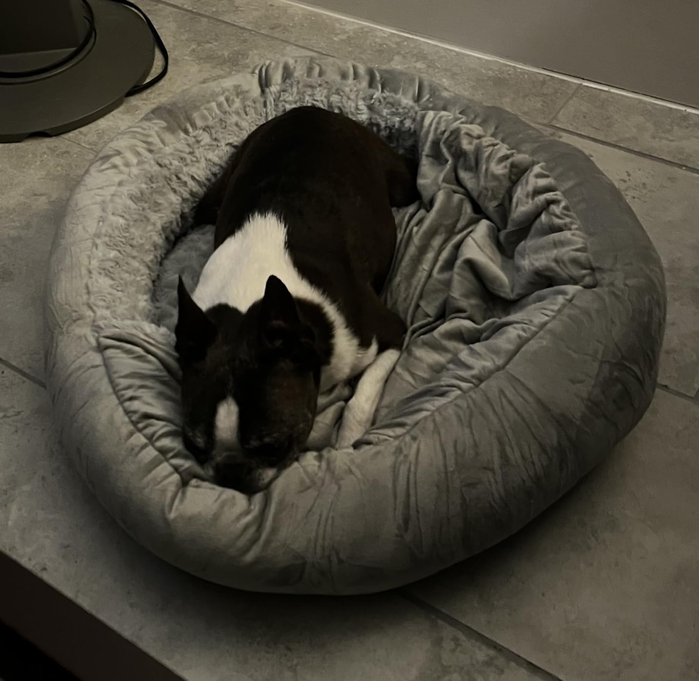 JOEJOY Small Dog Bed Cat Bed with Hooded Blanket, Cozy Cuddler Luxury Puppy Pet Bed, Donut Round Calming Anti-Anxiety Dog Burrow Cave Bed - Anti-Slip Bottom and Machine Washable 23 inch customer photo 1