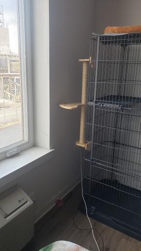 FUKUMARU Cat Activity Tree with Scratching Posts, Wall Mounted Jute Scratcher Pine Hammock customer photo 2