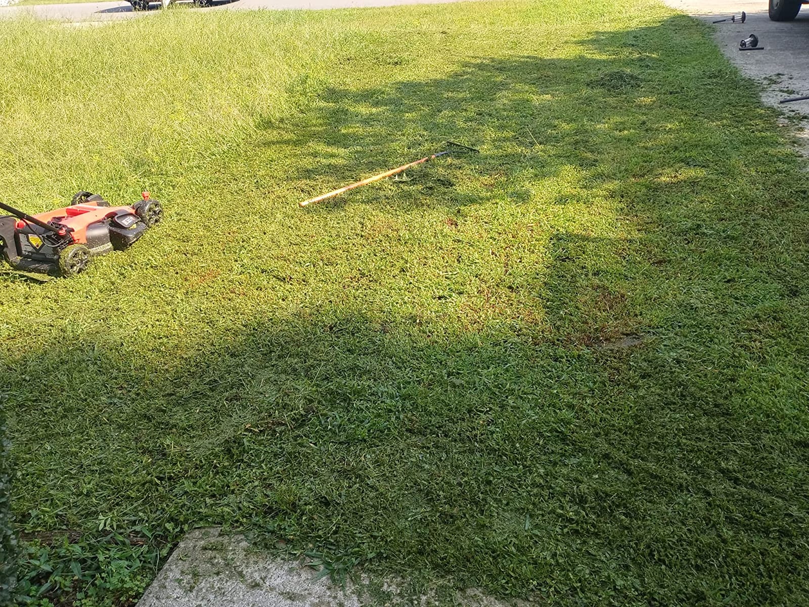 CRAFTSMAN V20 20 in Lawn Mower, 2 x 5Ah Batteries and 2 Chargers Included, High Effeciency Brushless Motor, Push Mower, Up to 50 Min of Runtime, Lightweight, Grass Bag, Low Profile (CMCMW220P2) customer photo 2