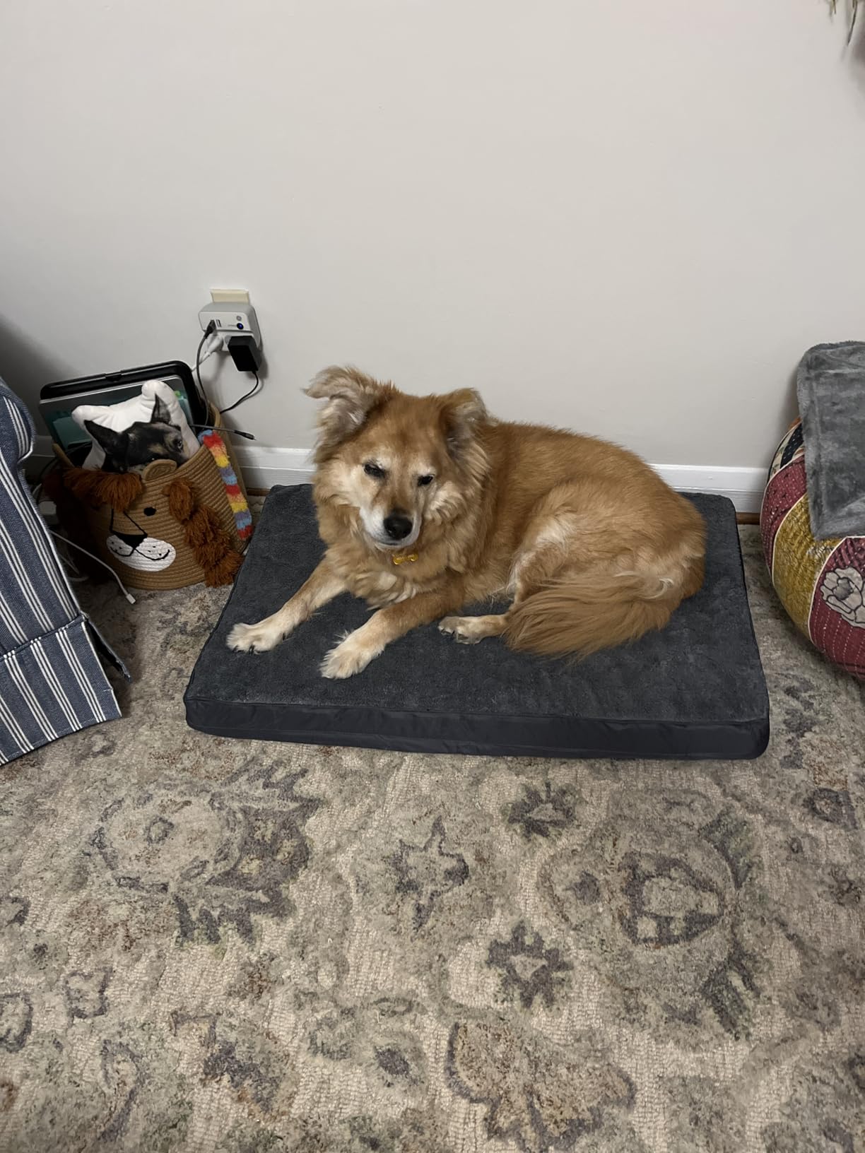 Waterproof Medium Size Dog Crate Bed Orthopedic 35x22 Grey customer photo 2