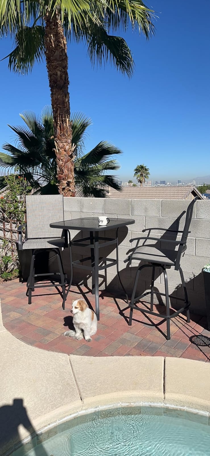 Vongrasig 3 Piece Patio Swivel Bar Set, All Weather Mental Textilene High Swivel Stools Chair Set of 2 and Glass Bar Table, Outdoor High Top Bistro Set for Lawn Garden, Balcony, Taupe customer photo 1