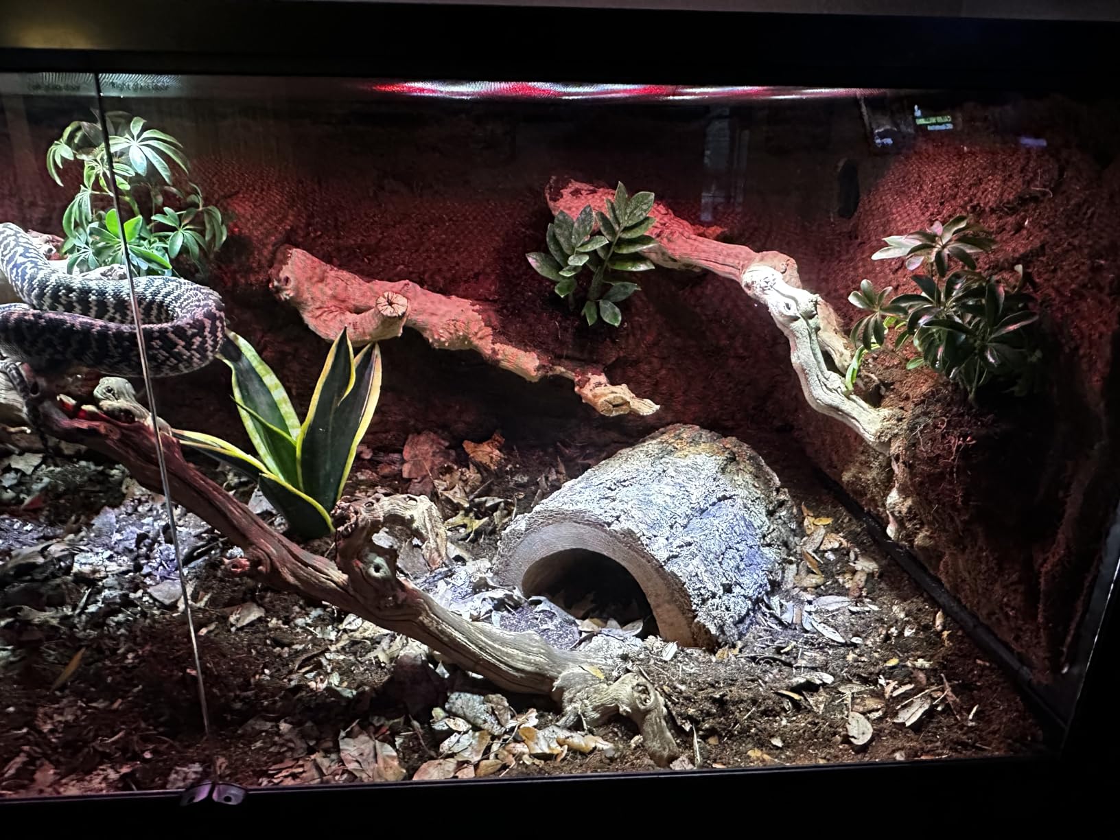 REPTI ZOO Collapsible 120 Gallon Reptile Tank, Tempered Glass Large Reptile Terrarium 48