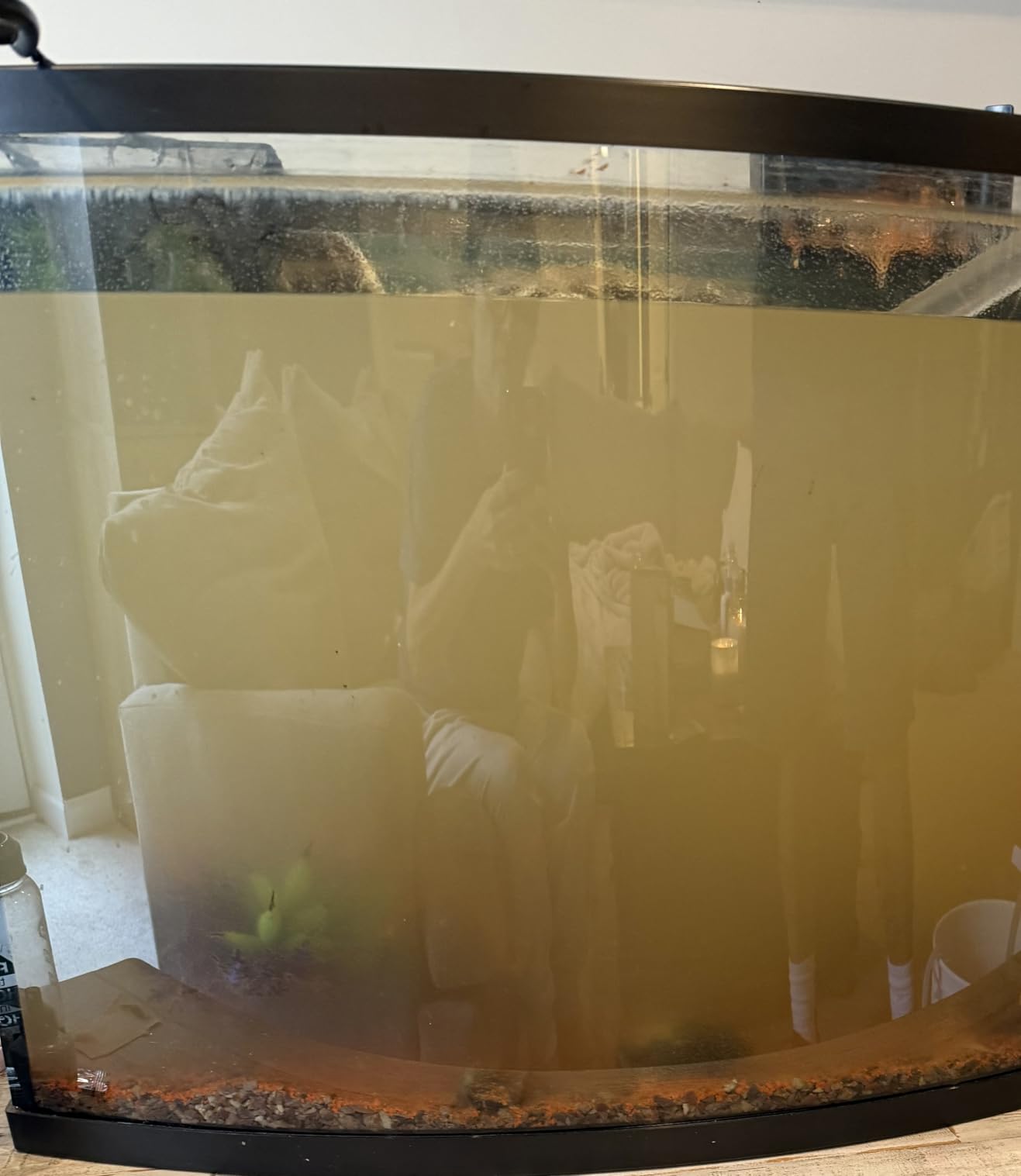 Freesea Automatic Fish Feeder for Aquarium: One-Touch Easy Setup & 3 Timers customer photo 2