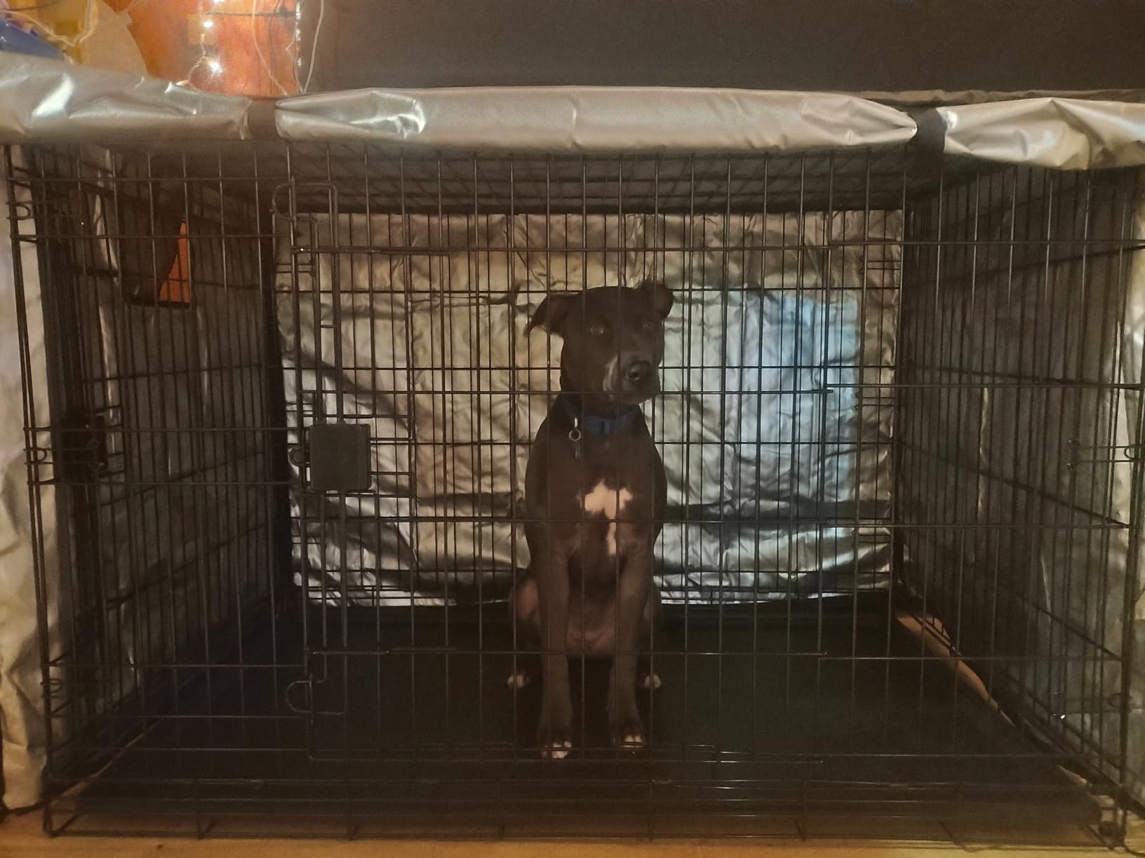Amazon Basics Portable, Easy to Assemble, Foldable Metal Wire Dog Crate with Removable Tray, Double Door, Divider Panel, Handle, 36
