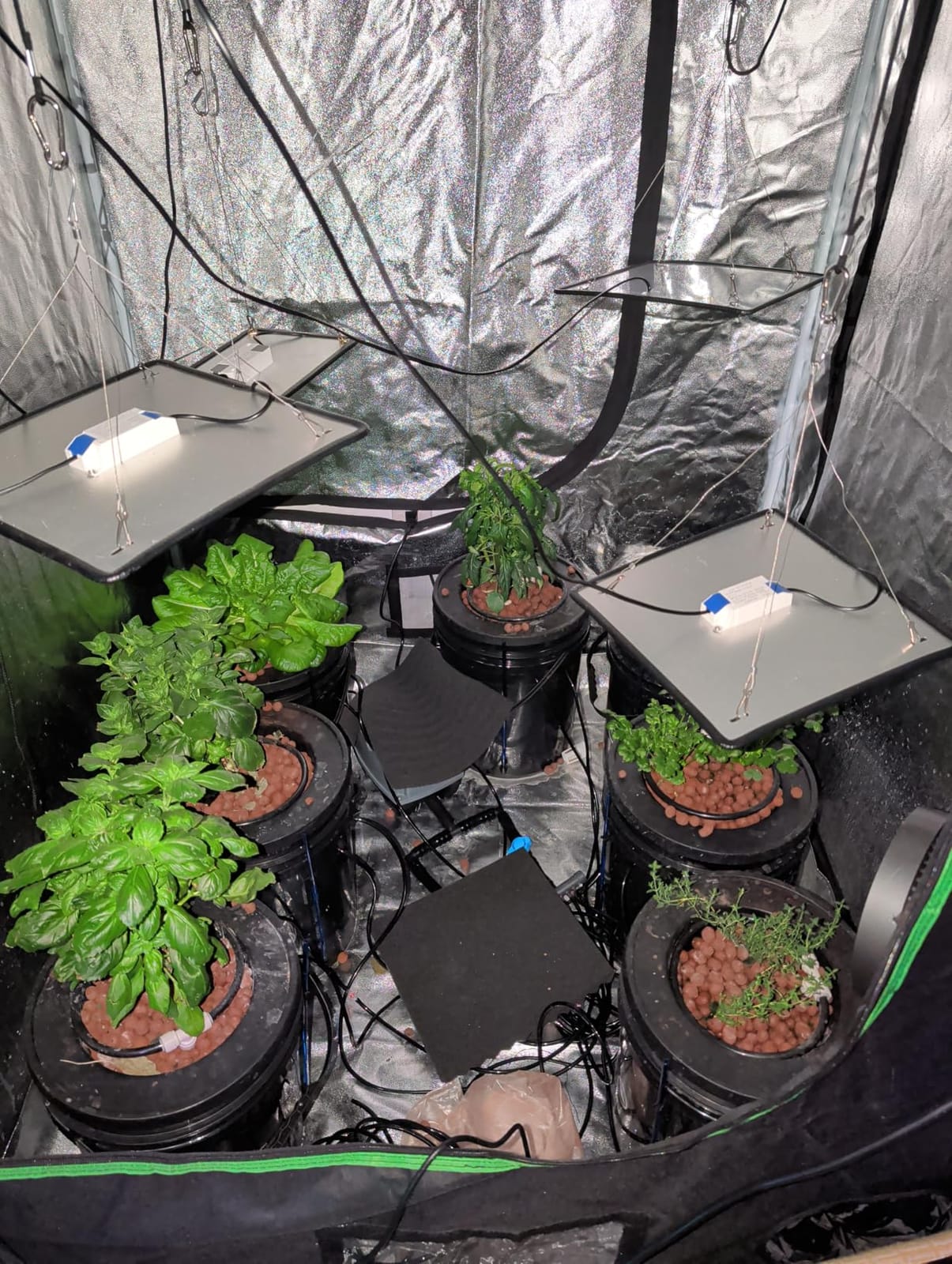 VIVOSUN DWC Hydroponics Grow System with Top Drip Kit 4 Buckets customer photo 2