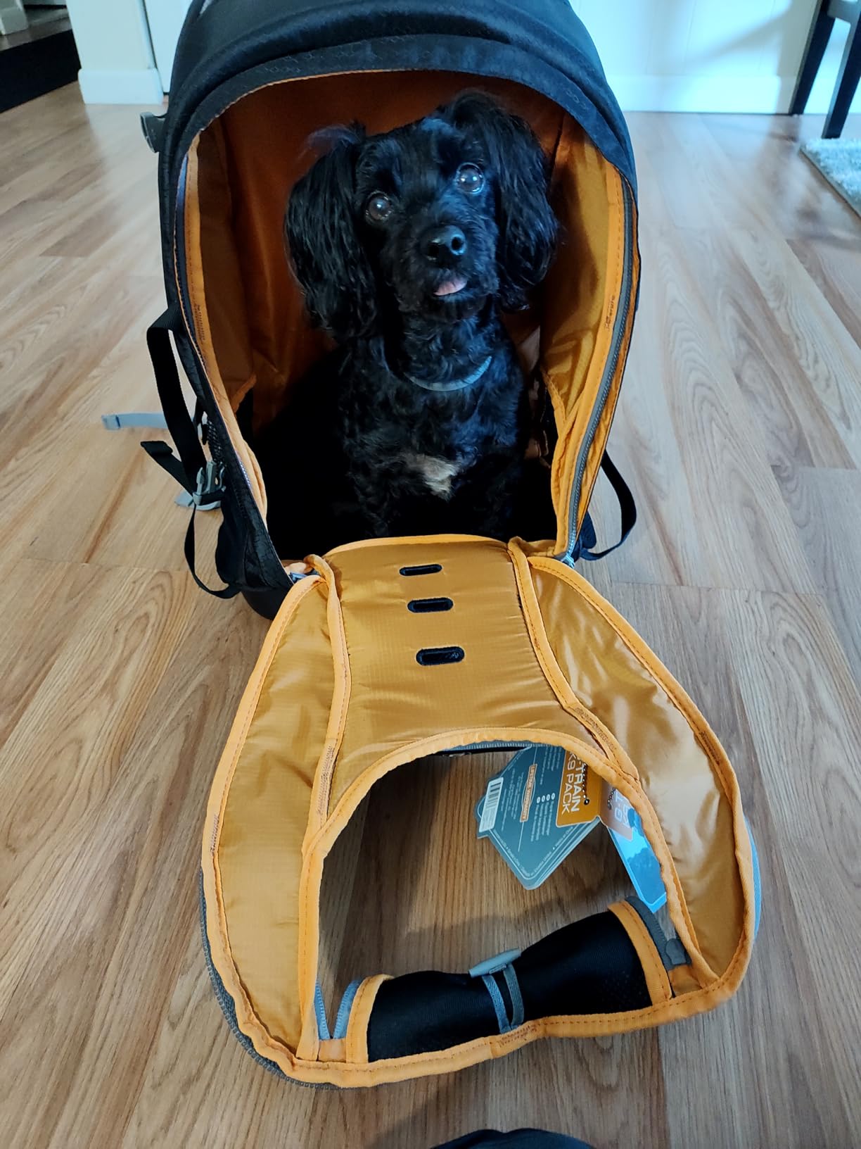 Kurgo G-Train Pet Carrier Backpack, Ink Blue customer photo 1