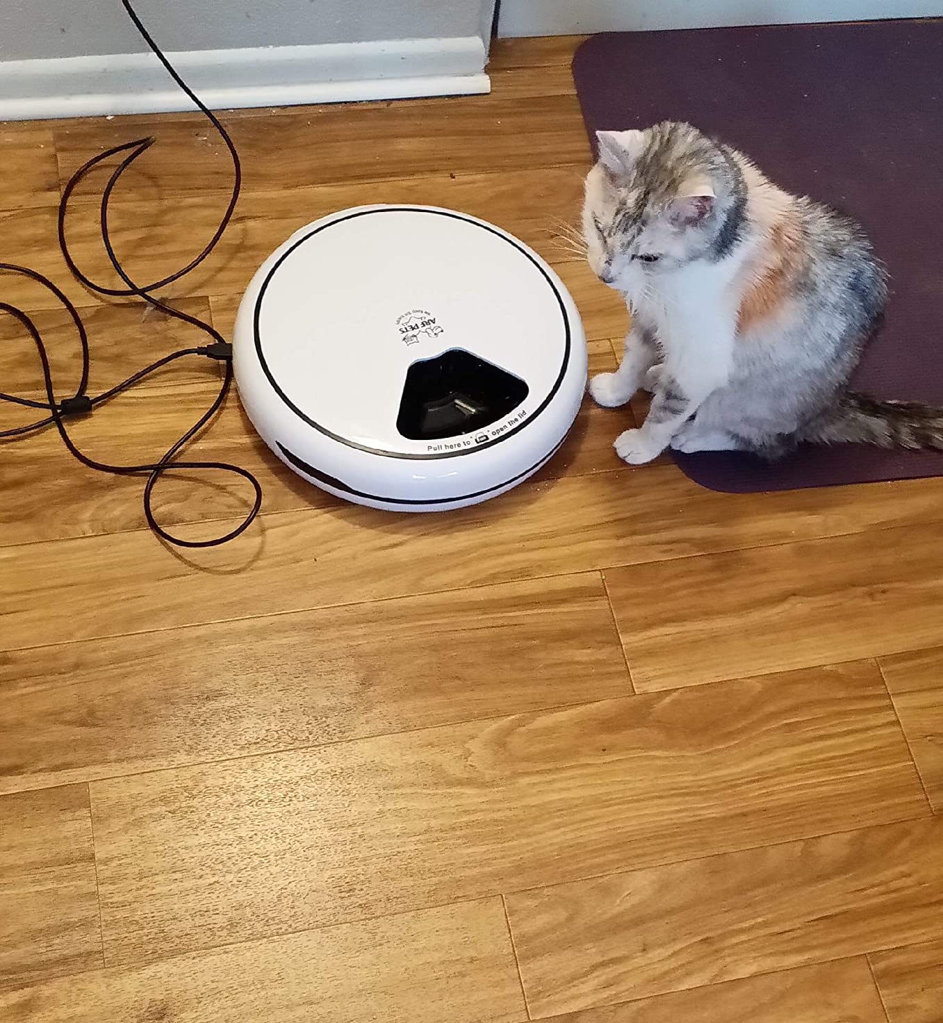 Arf Pets Automatic Pet Feeder, 5 Meal Food Dispenser for Dogs, Cats & Small Animals w/Programmable Timer, Dishwasher-Safe Tray Feeds Wet or Dry Food - (Serves 4 Meals Per Day) Adopter Included customer photo 2