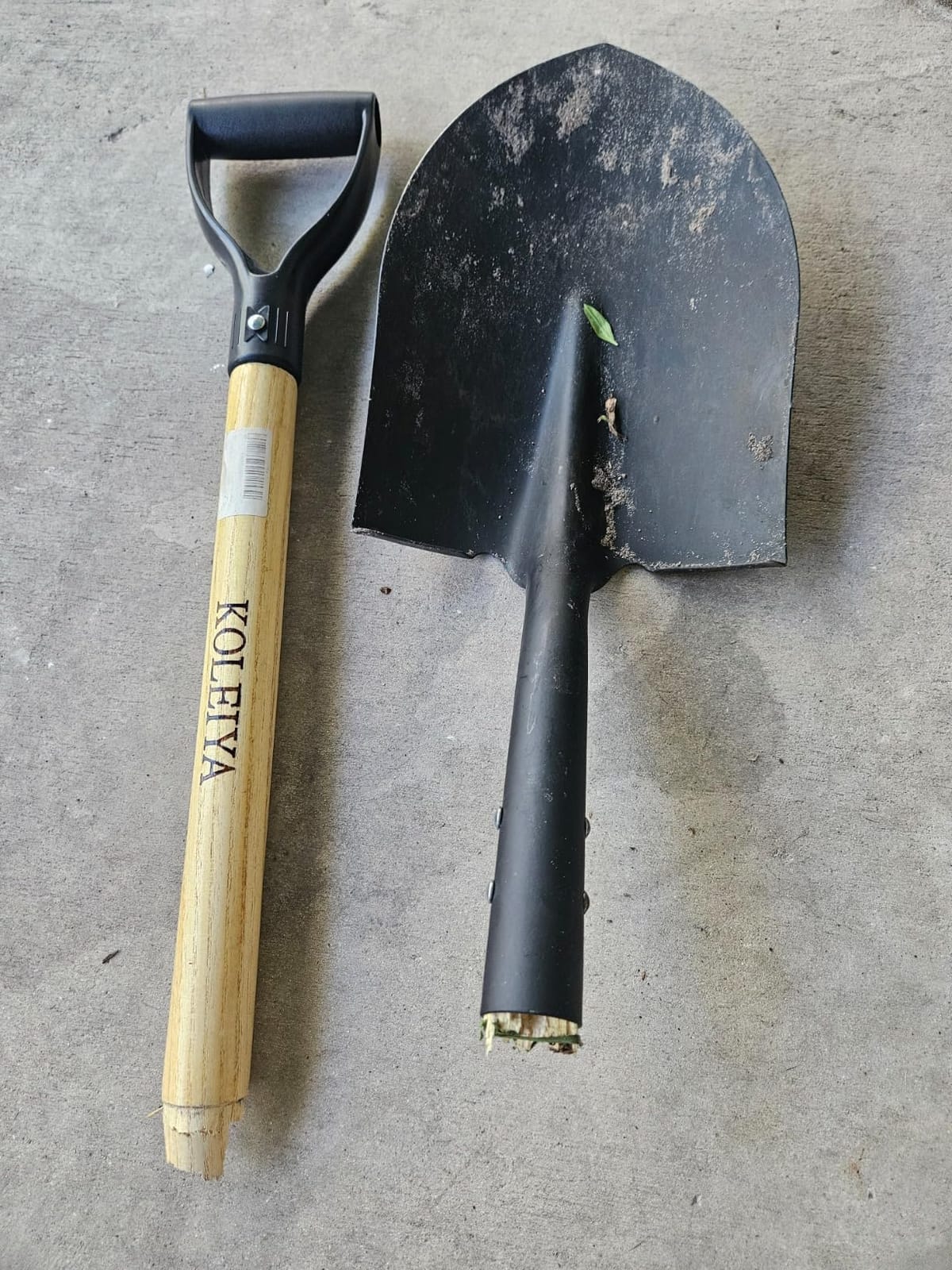 KOLEIYA 41 Inch Round Point Shovel for Digging,Heavy Duty Garden Shovel with D-Handle,Wooden Handle,Ideal for Gardening,Landscaping,Beach,and Snow Removal customer photo 1