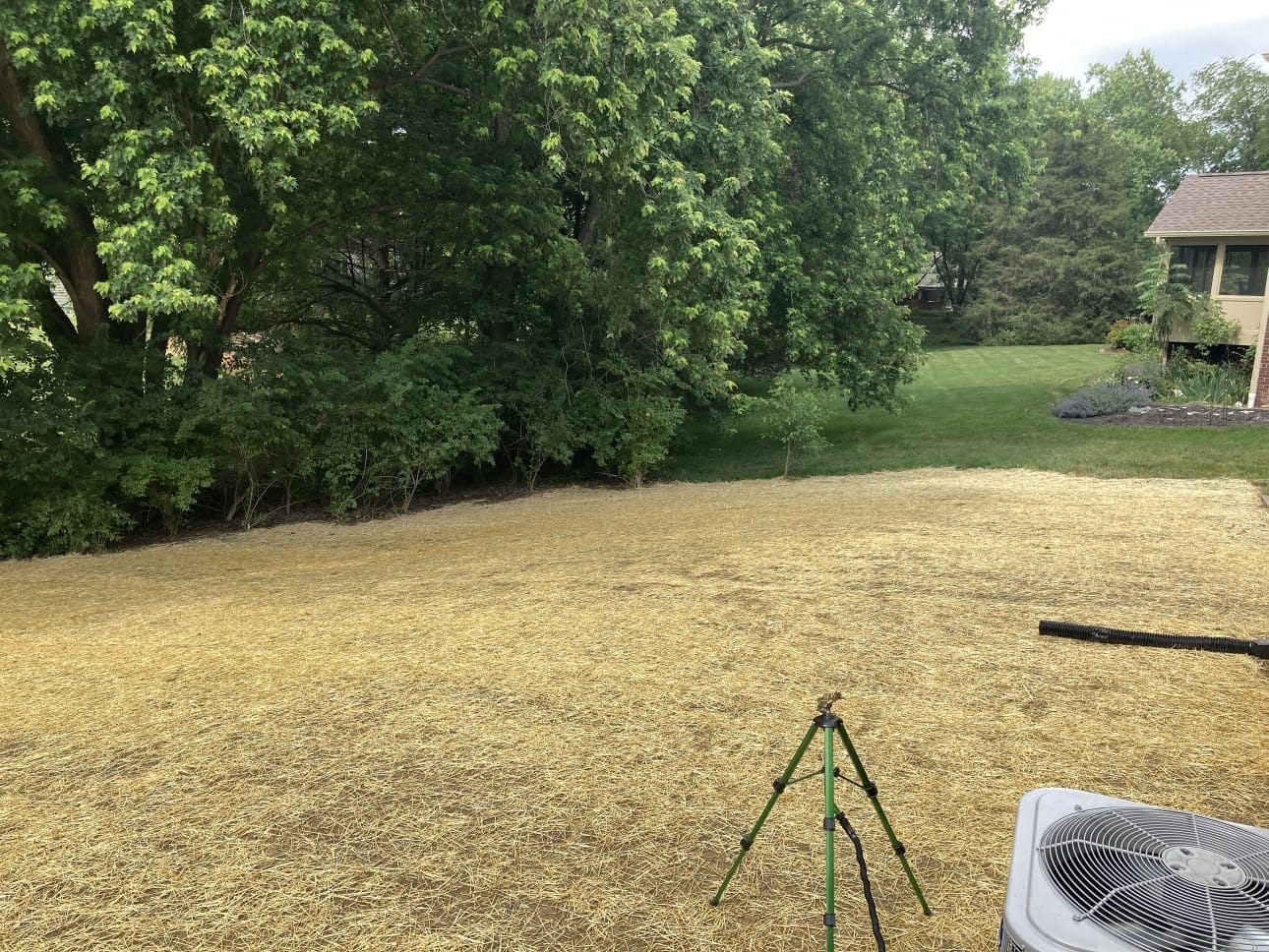 Hourleey Impact Sprinkler on Tripod Base, Heavy Duty Brass Sprinklers for Yard Lawn Garden, 0-360 Degree Large Area Coverage, 3/4 Inch Connector Extension Legs Flip Locks with Brass Sprinkler Head customer photo 1