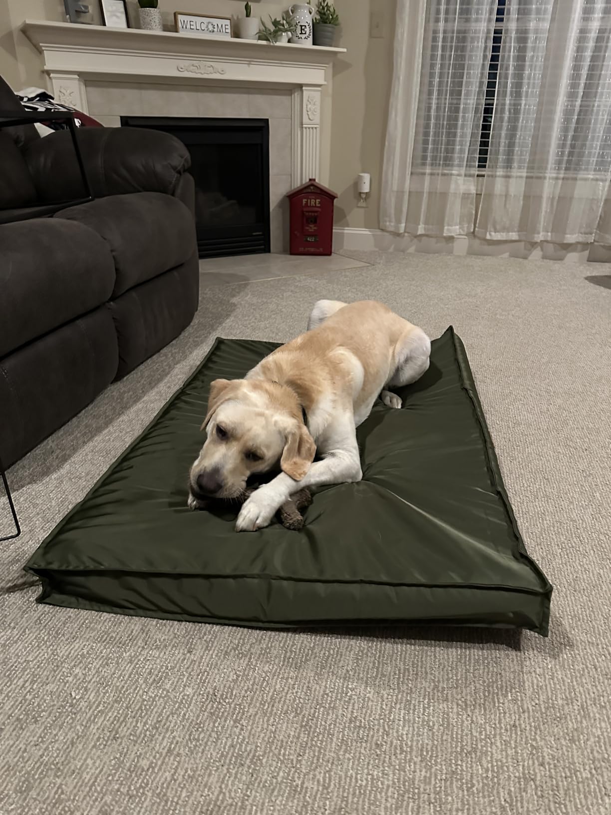 LE SURE Outdoor Waterproof Dog Beds Large Sized,Orthopedic Pet Mat,36x27In customer photo 1