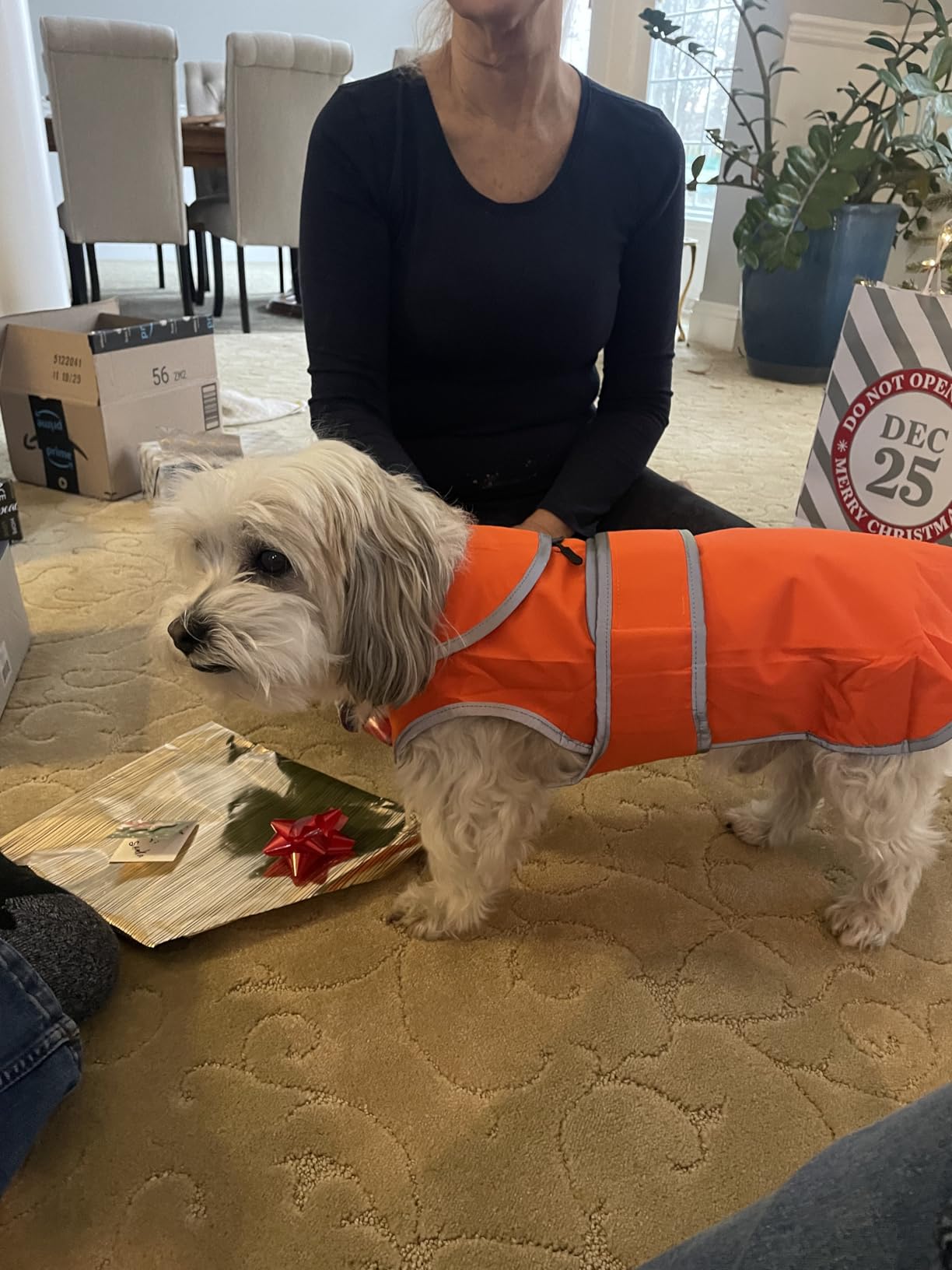 MIGOHI Warm Dog Coat Winter Dog Jacket,Waterproof Cold Weather Coats for Dogs,Fleece Jacket for Small Medium Large Dogs,Reflective Thick Fleece Vest with Leash Hole customer photo 1