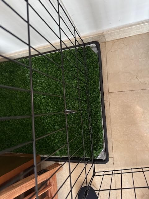 Dog Grass Pad with Tray for Dogs Puppy Potty Training to Pee & Poop Indoor customer photo 1
