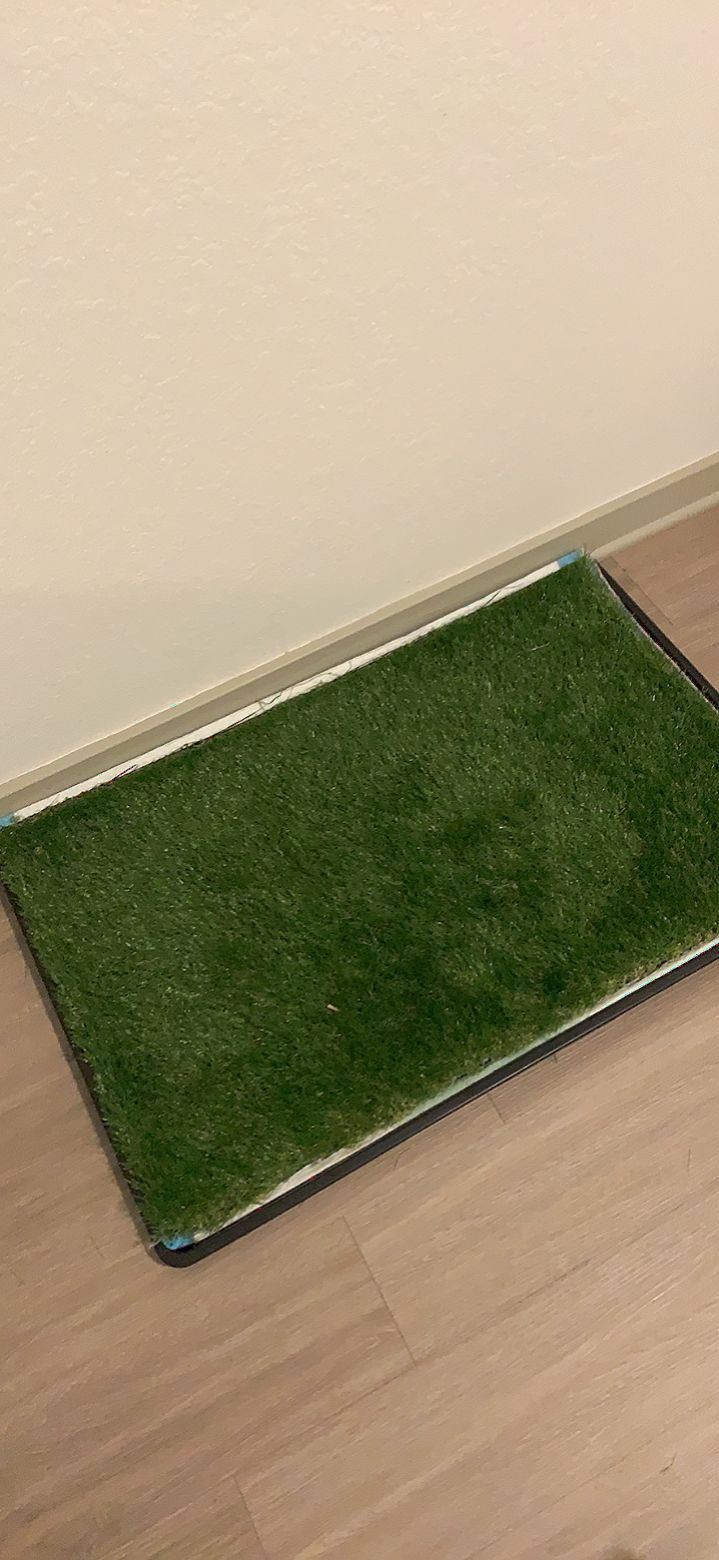 Dog Grass Pad with Tray for Dogs Puppy Potty Training to Pee & Poop Indoor customer photo 2