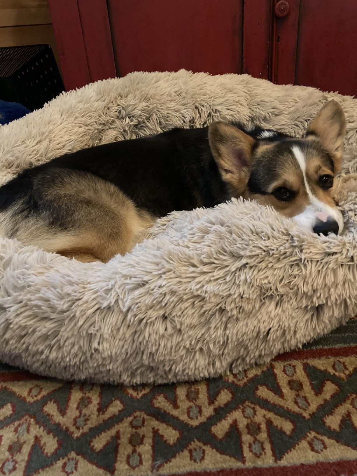 Best Friends by Sheri Original Calming Donut Dog Bed, Gray, Small, 23