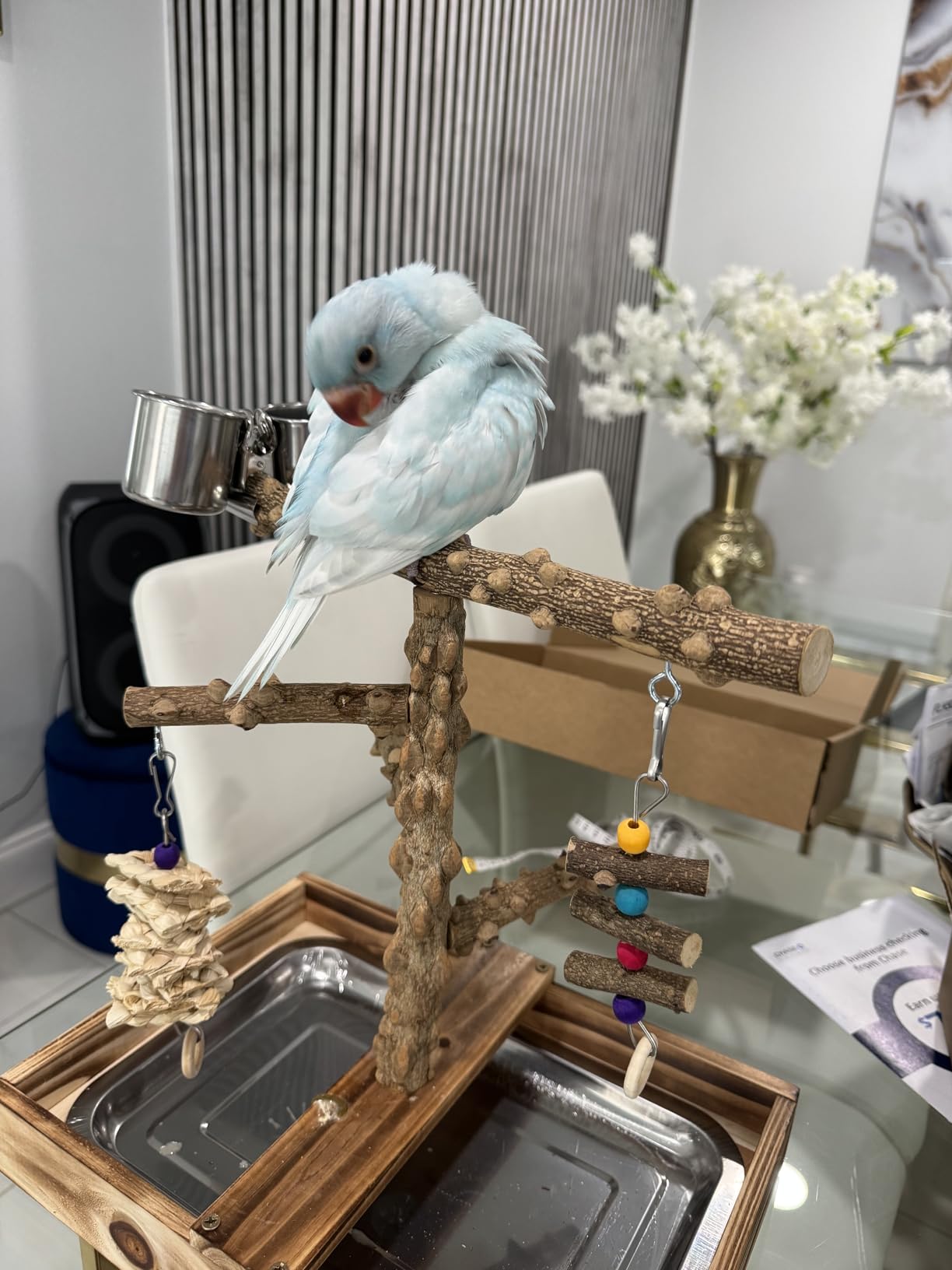 LIMIO Natural Wood Bird Toys Playground, Bird Cage Accessories, Bird Perches, with Removable Tray and 2 Stainless Steel Cups customer photo 2