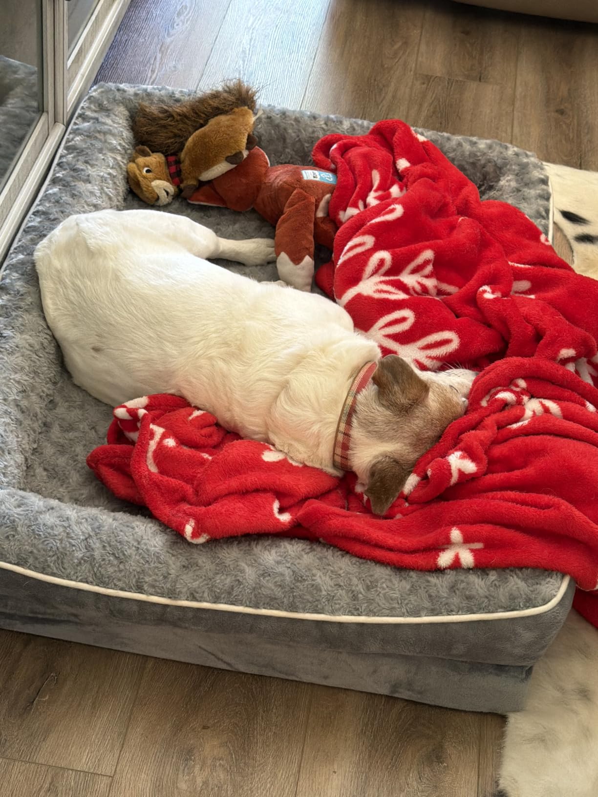 WNPETHOME Orthopedic Washable Dog Bed Large for Senior Dog Cozy Sleep | Waterproof Big Soft Dog Couch Sofa Bed for Dogs Relax with Removable Cover Supportive Comfort Pet Bed Grey 36x27 Inch customer photo 1