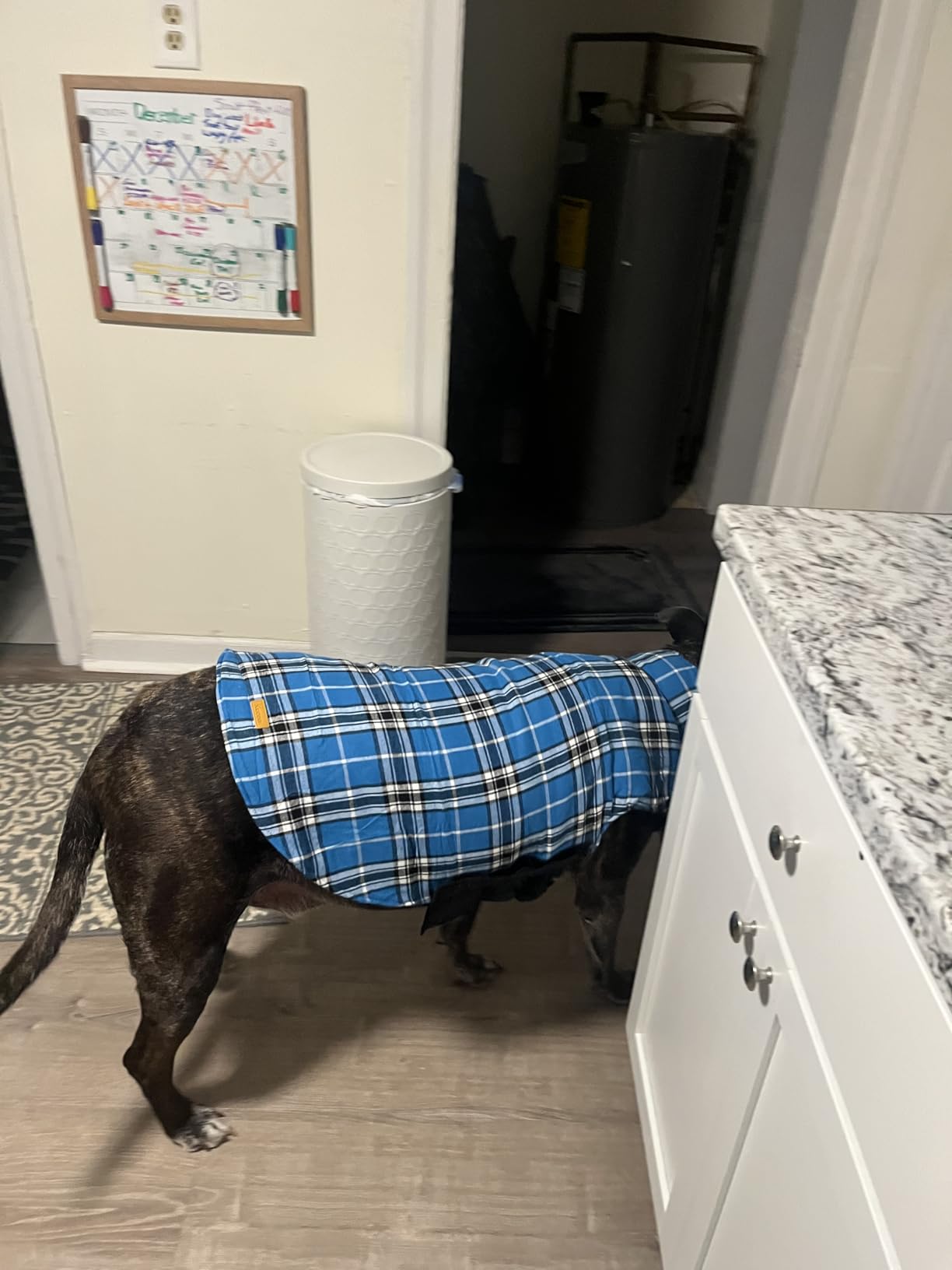 Kuoser Waterproof Dog Coat, Warm Reversible Dog Jacket with Leash Hole customer photo 1