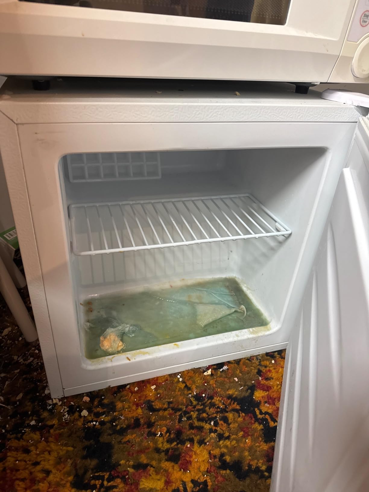 HOMCOM Mini Freezer Countertop Compact Upright Freezer 1.1 Cu.Ft Black customer photo 1