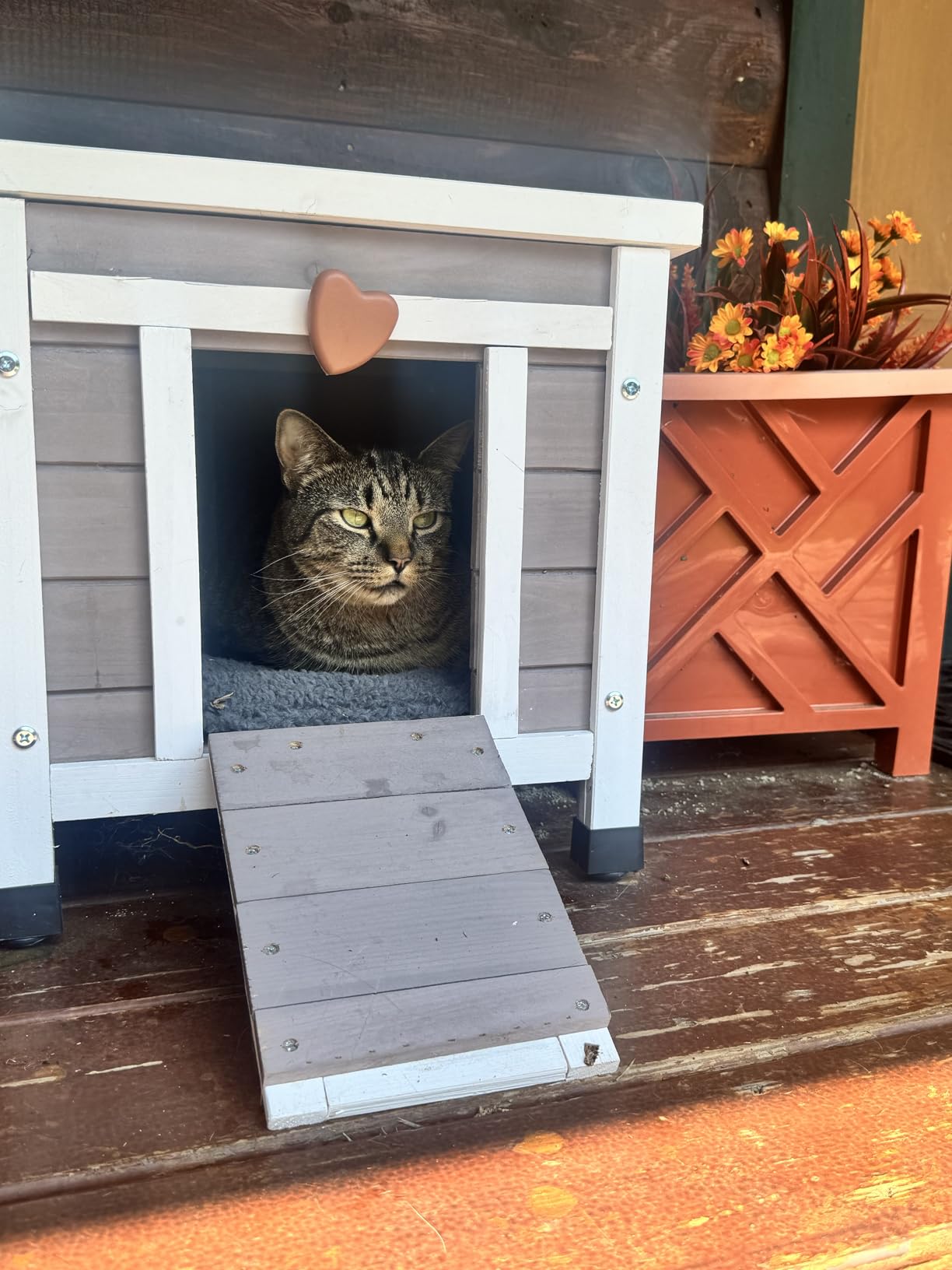 Rockever Outdoor Cat House, Rabbit Hutch Outdoor Indoor Bunny Cage customer photo 1