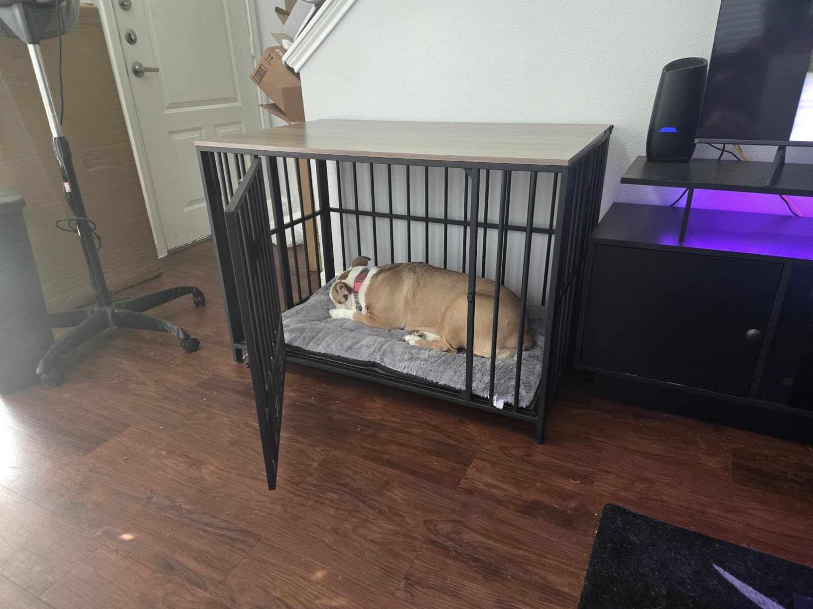 Dog Crate Pad Washable Dog Bed for Crate Medium Cozy Mat 36-Inch Gray customer photo 2
