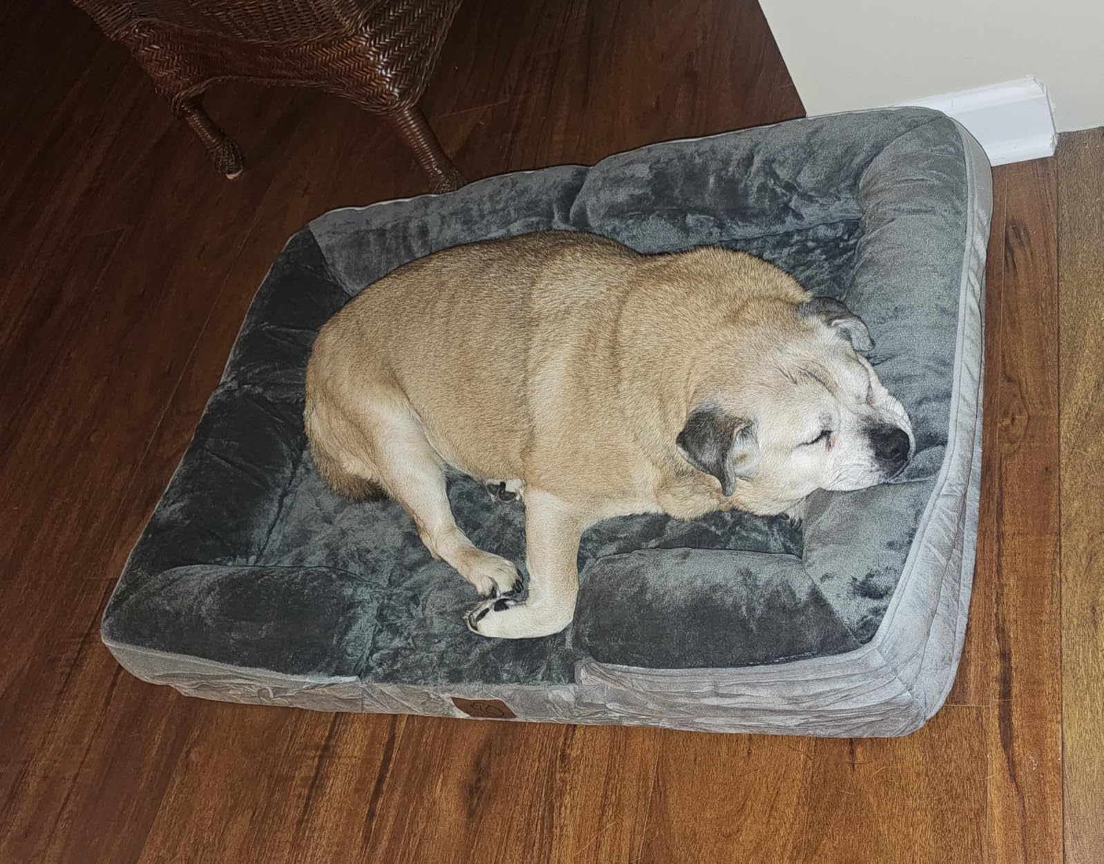 Bedsure Orthopedic Dog Beds for Small Dogs with Removable Washable Cover | 24
