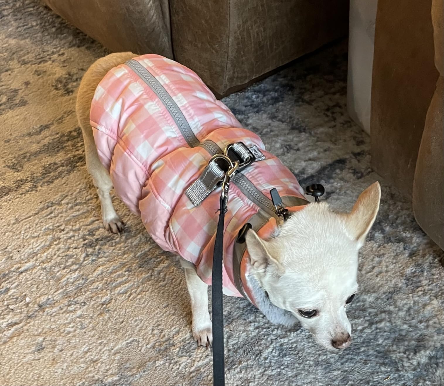 FUAMEY Dog Coat for Medium Dogs, Fleece Dog Winter Jacket with Harness customer photo 2