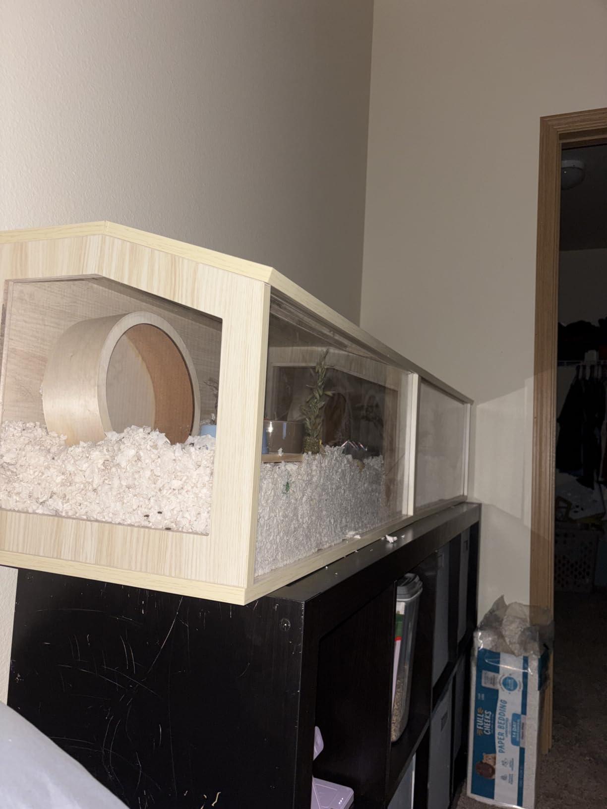 Prolee Hamster Cage Chewproof Wooden 40 Inch Guinea Pig Cages Mice and Rat Habitat Openable Top with Acrylic Sheets Solid Built customer photo 2