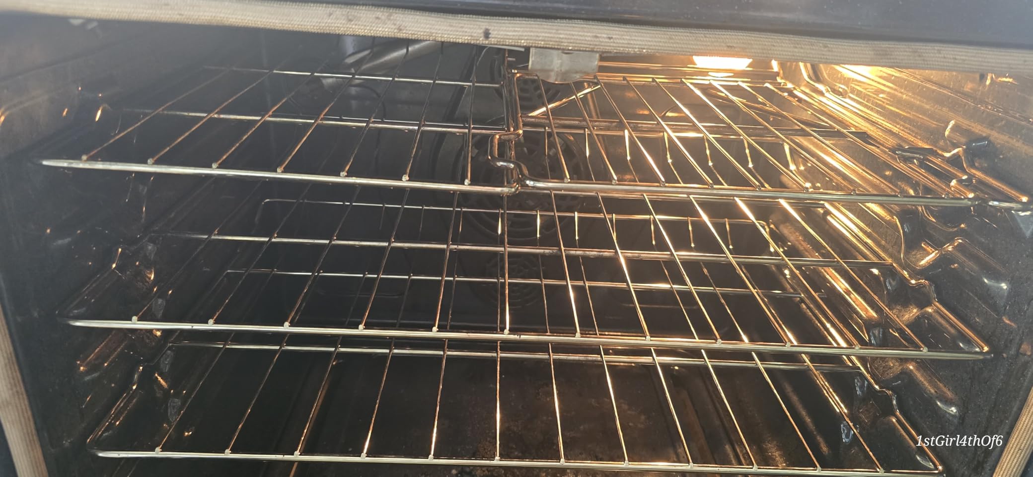 Carbona Oven Rack & Grill Cleaner Kit, Includes Bag & Gloves customer photo 2