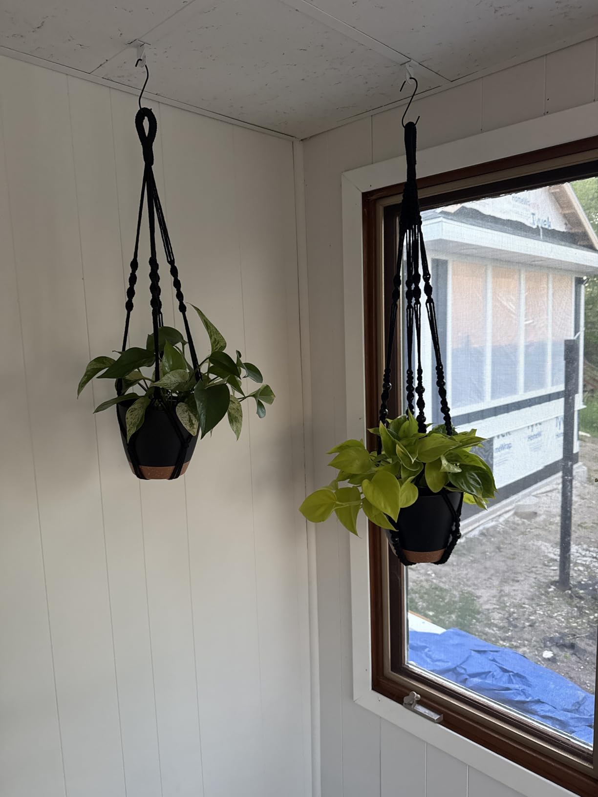 Bouqlife 3 Set Self Watering Hanging Planters for Indoor Plants customer photo 2