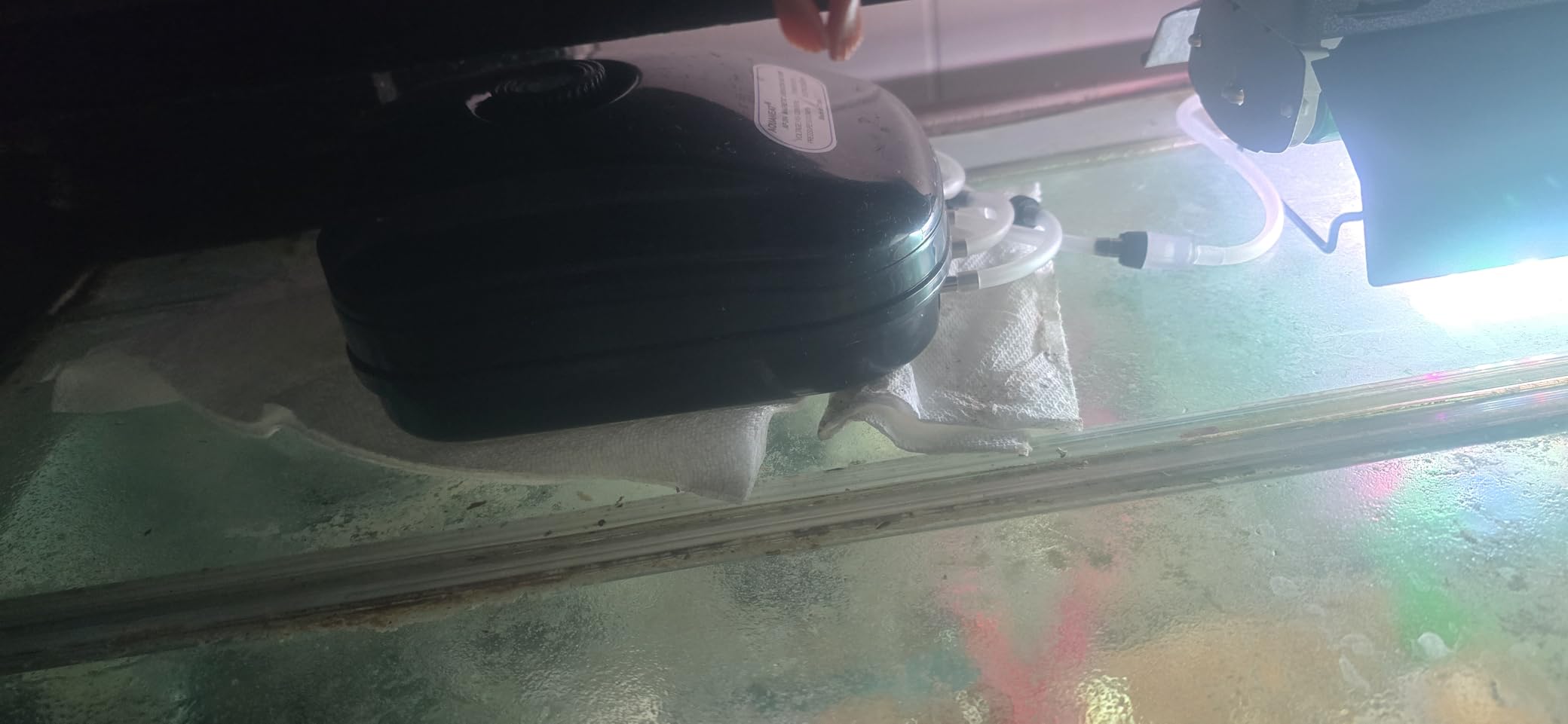 AQUANEAT Aquarium Air Pump 300GPH, for up to 200 Gallon Fish Tank, Powerful Hydroponic Aerator Pump with Tubing, Air Stones, Valves customer photo 2