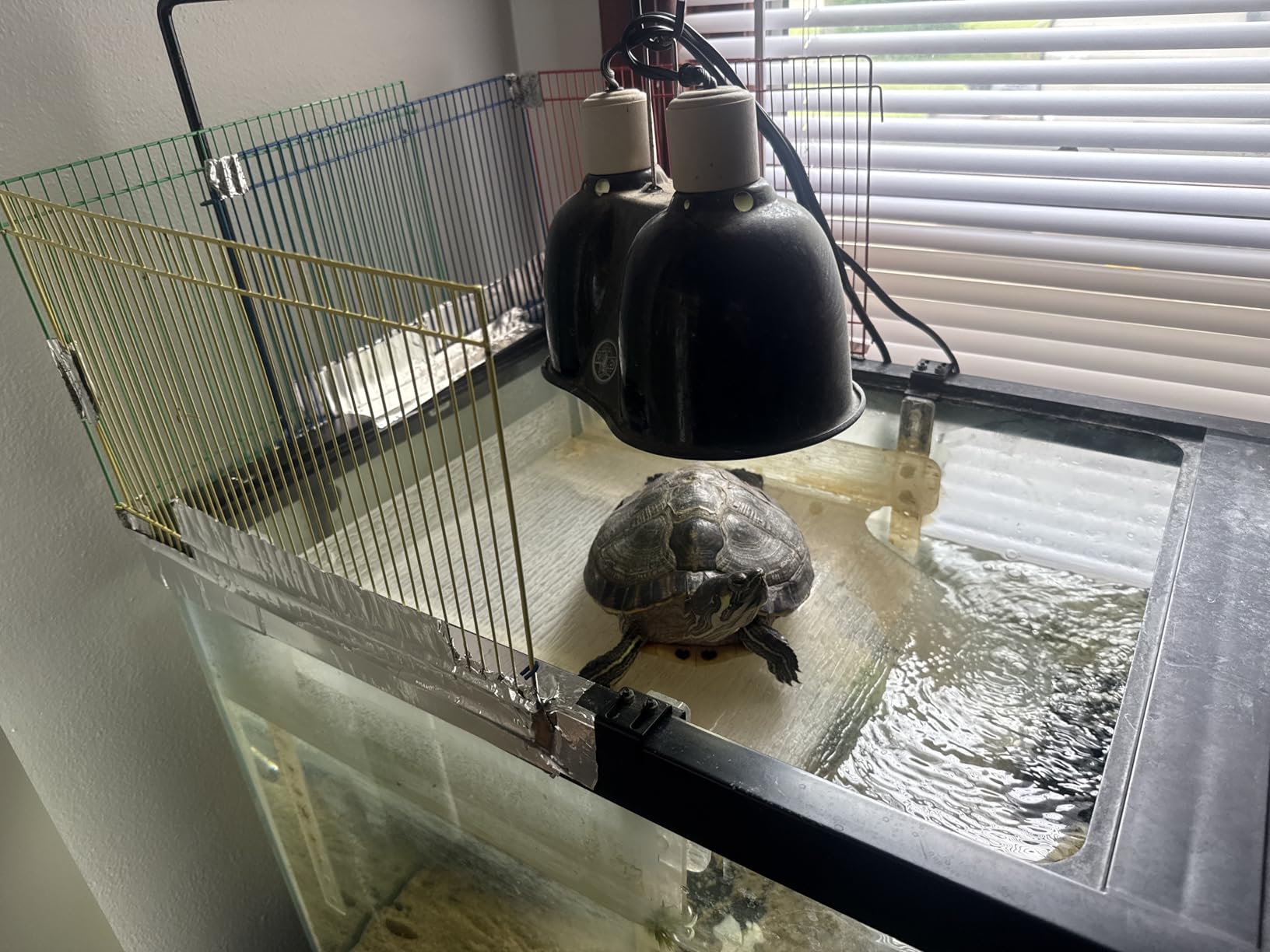 LYL LEYOULAND Hanging Turtle Basking Platform for Aquatic Turtles 20 55 Gallon, 40 Gallon Long Tank, Aquatic Reptile Ramp Dock, Turtle Terrace, Turtle Tank Accessories customer photo 2
